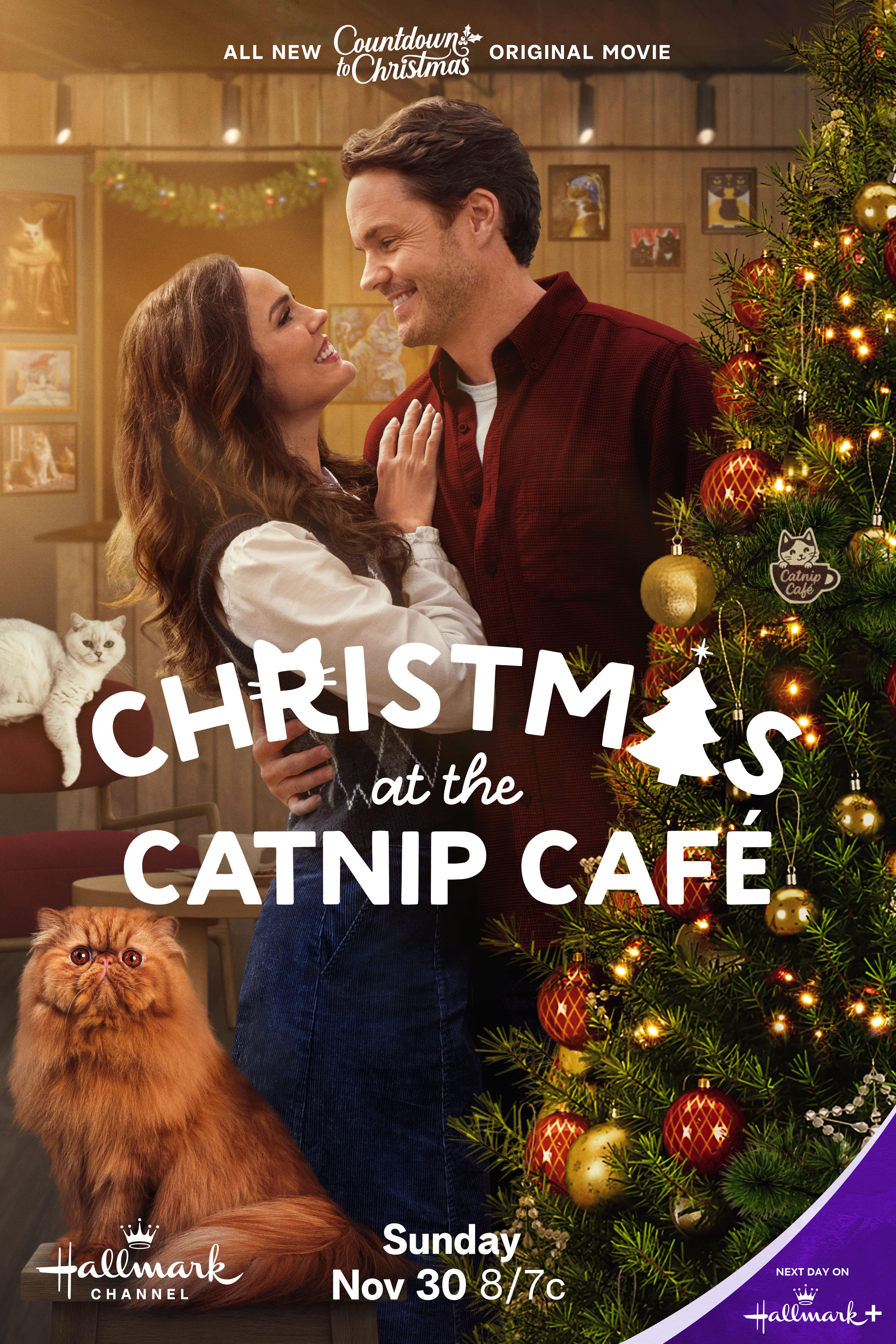 Christmas at the Catnip Café