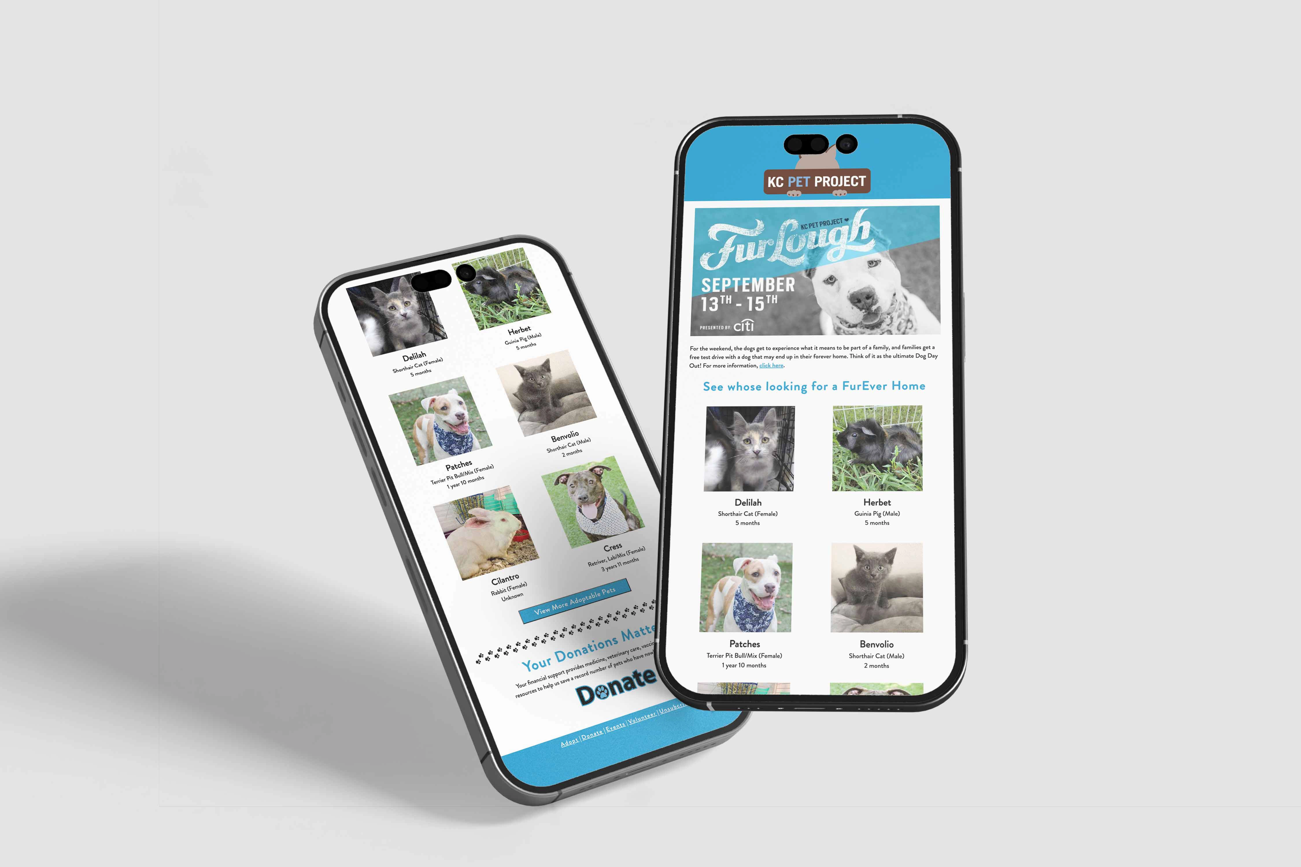 KC Pet Project E-blast Phone