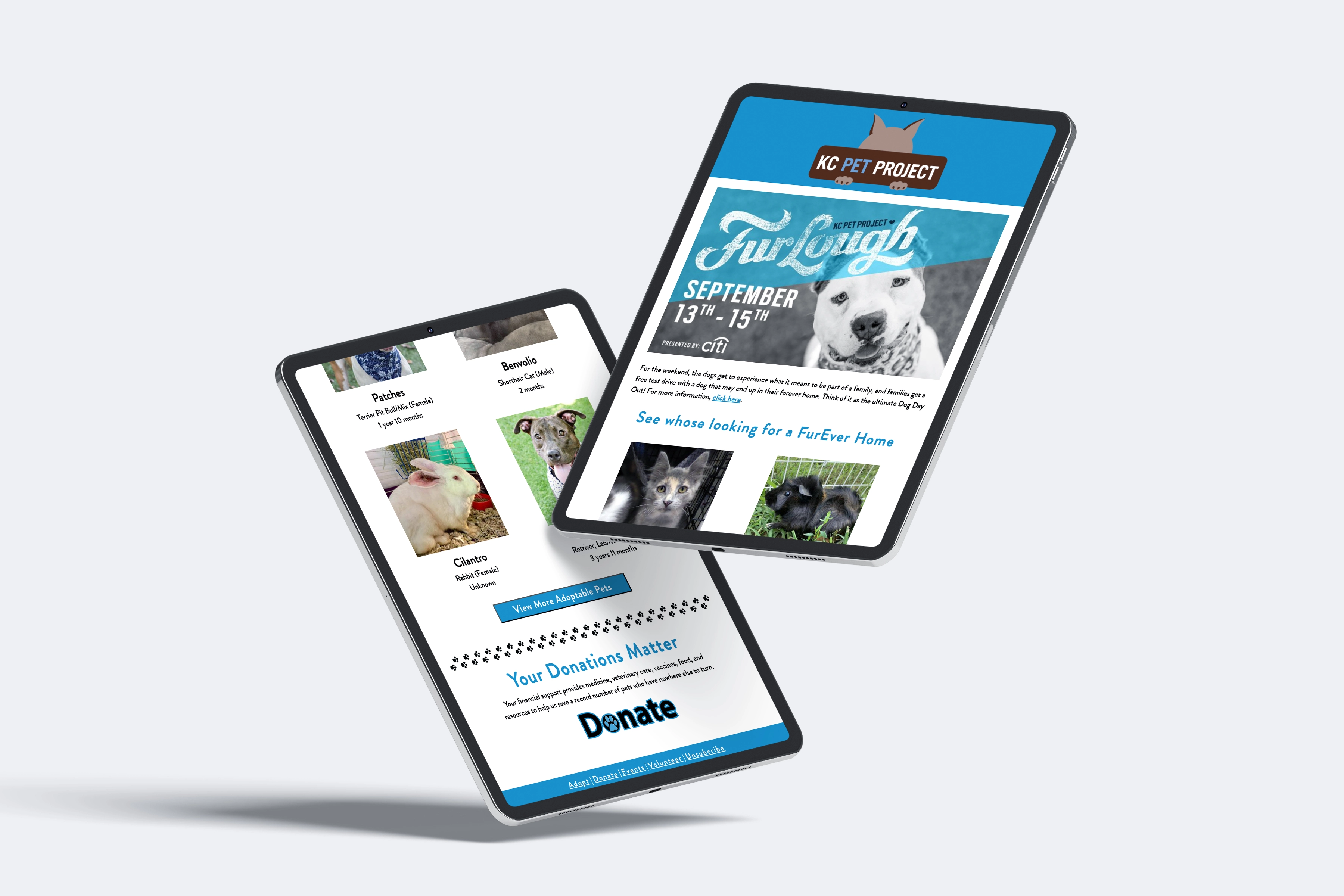 KC Pet Project E-blast Tablet