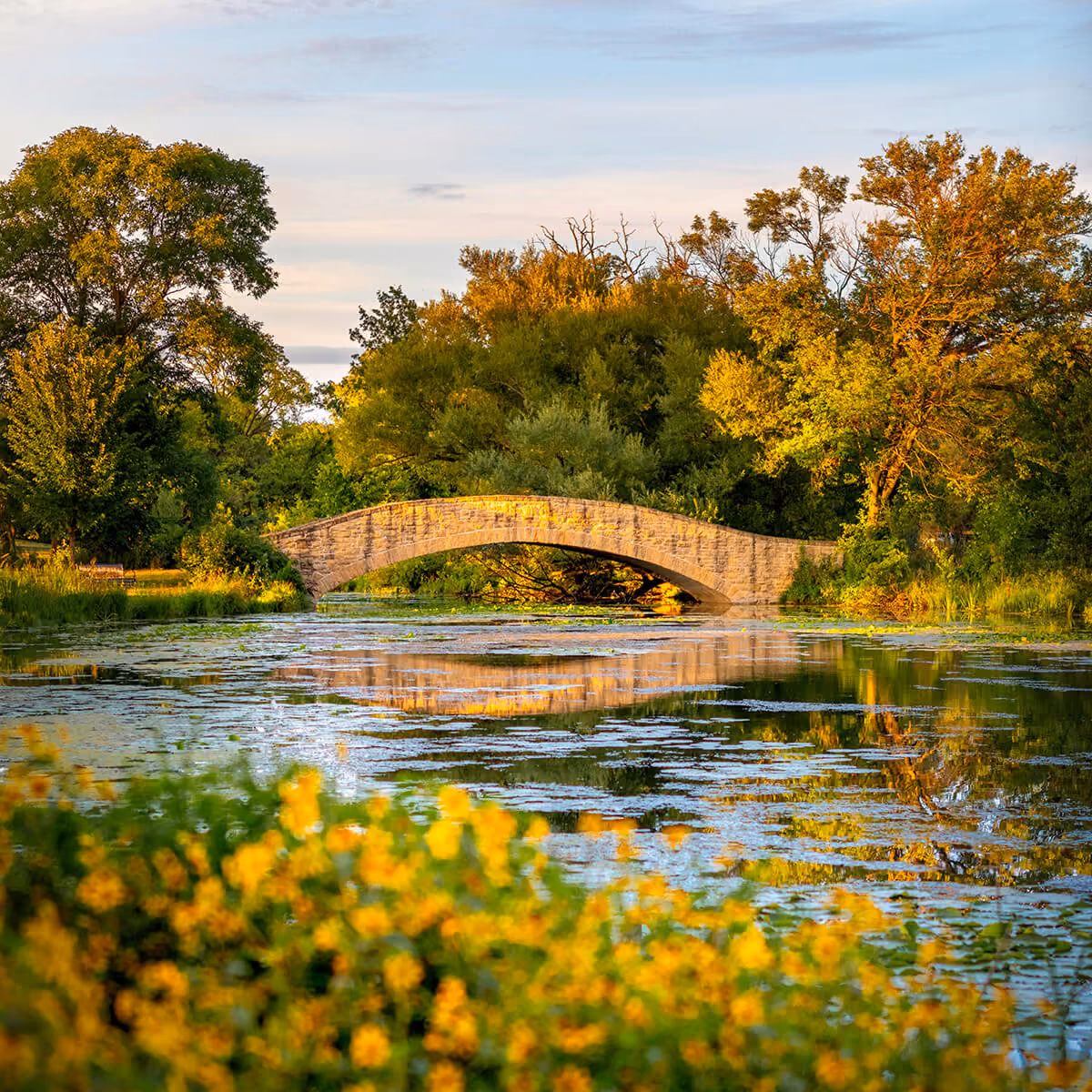a beautiful park with a pond and a bridge in madison wisconsin