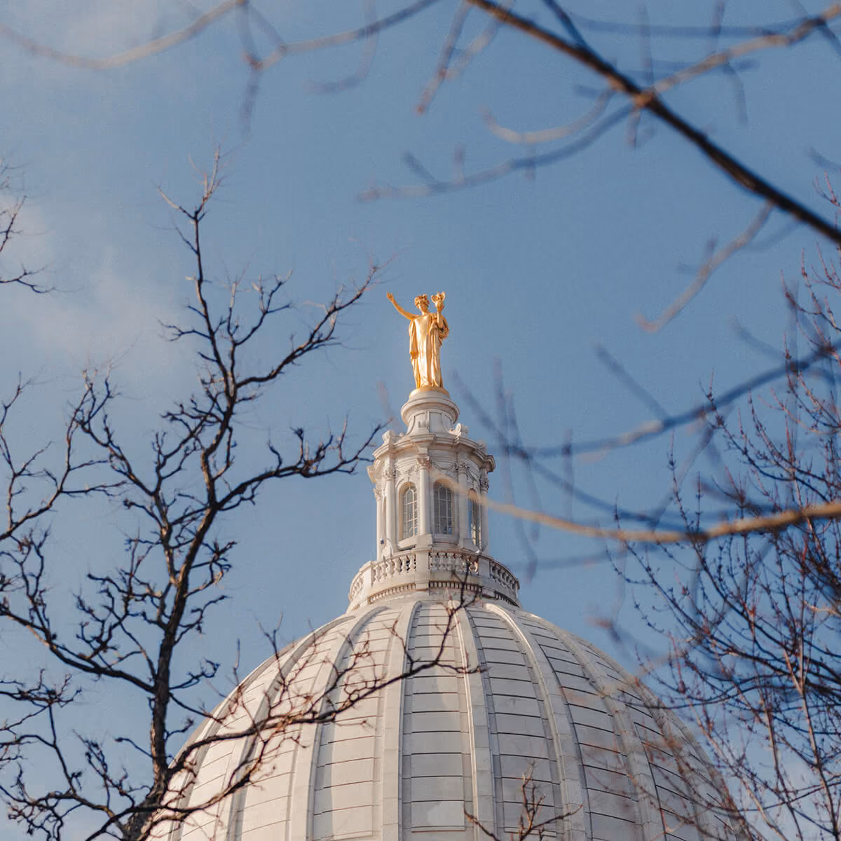a close up of the top of the madison wisconsin capitol building