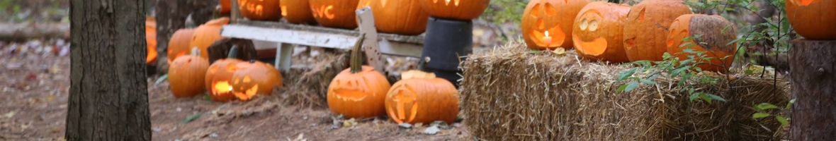Pumpkin Walk