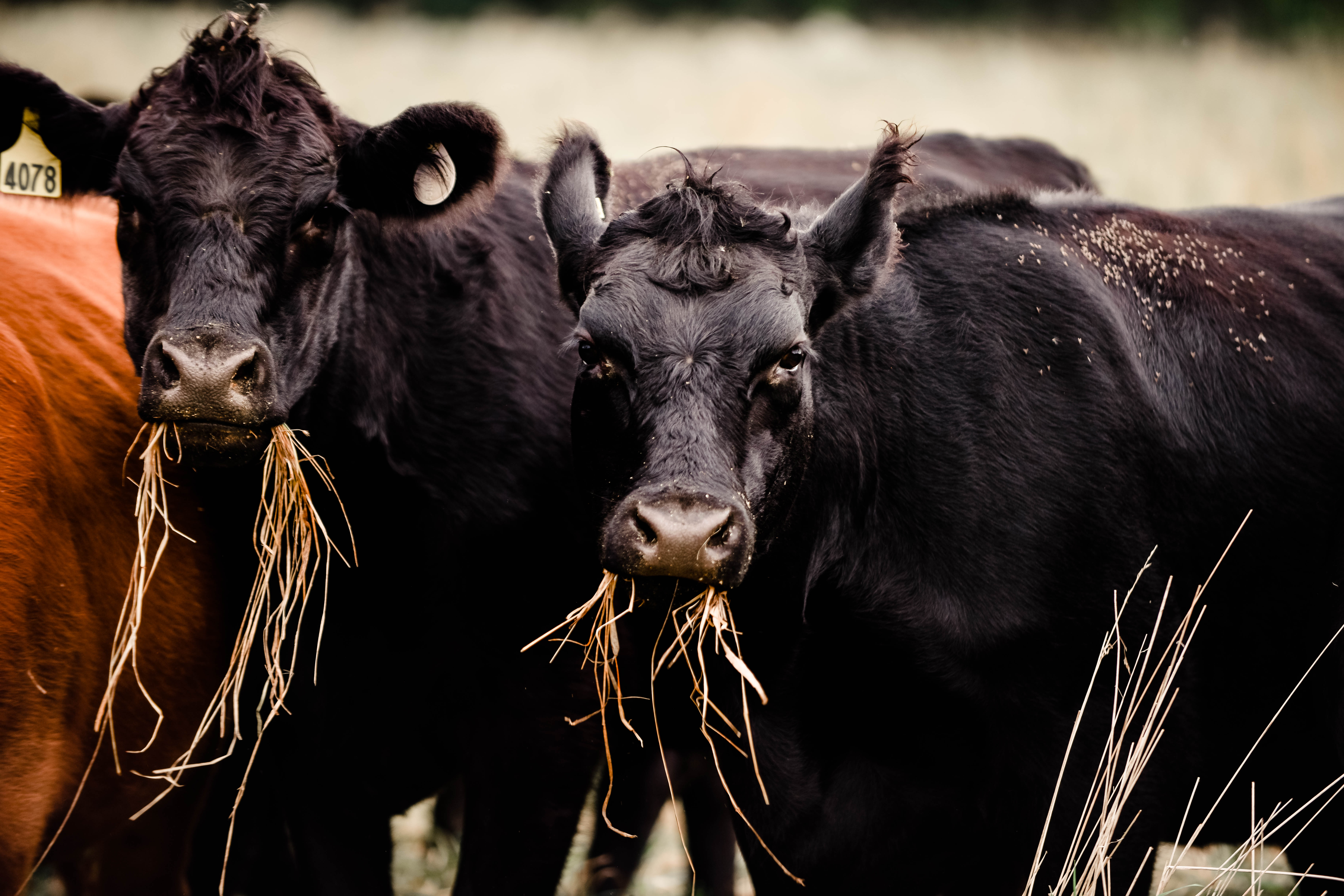 What Keeps Me Up at Night