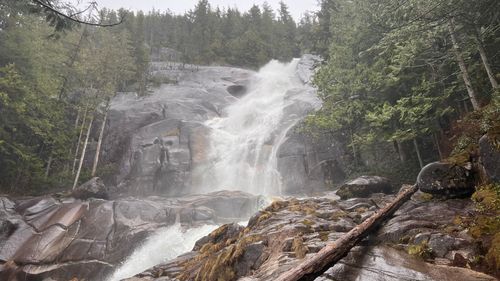 Shannon Falls waterfall crashing over rocks, a highlight of the easy Shannon Falls Pools Trail in Squamish.