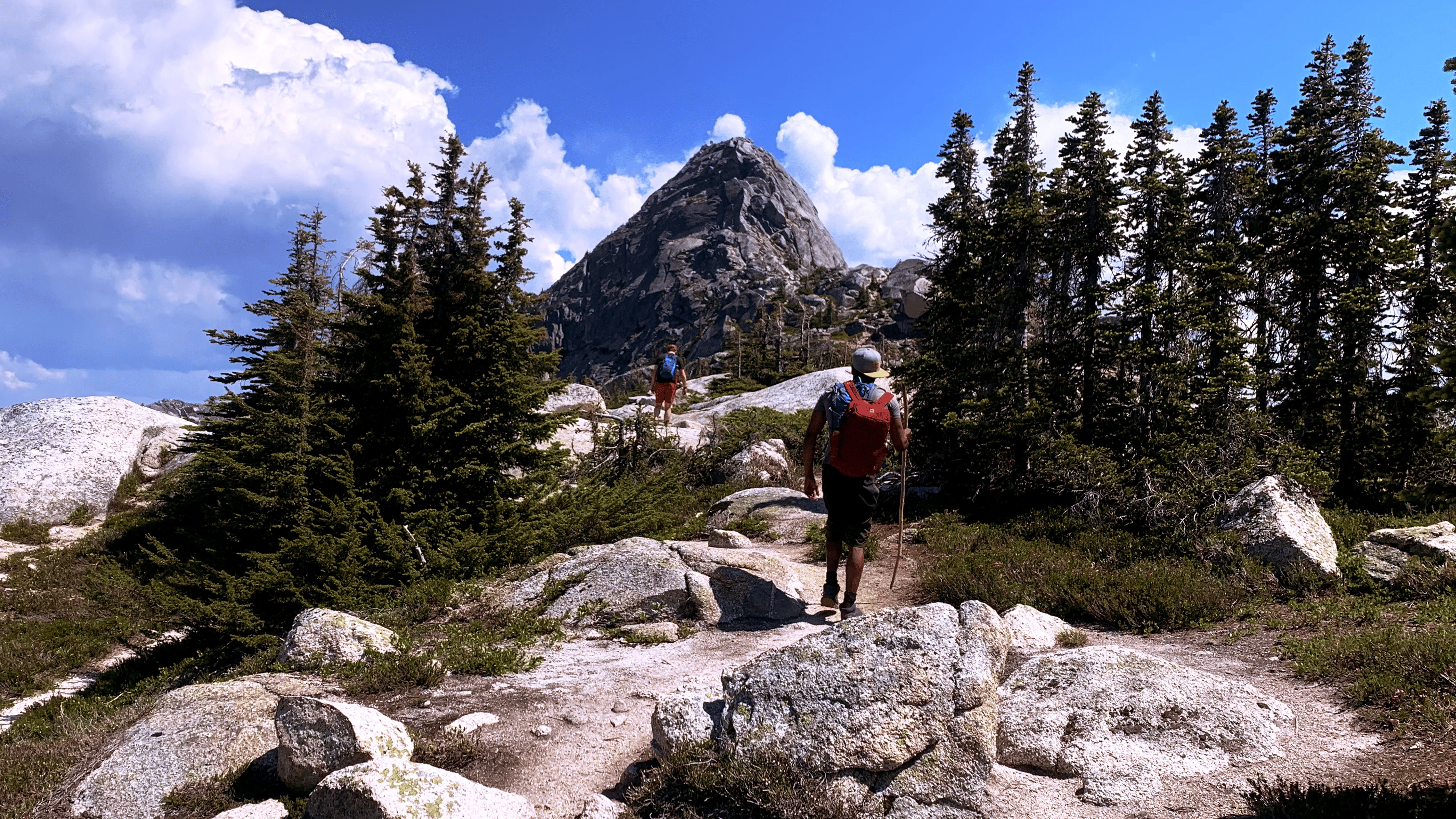 View of Needle Peak