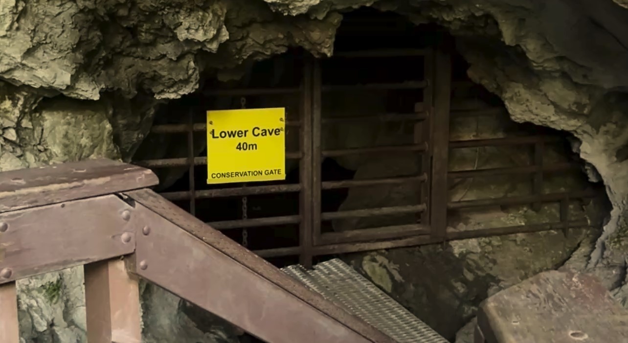Horne Lake Caves