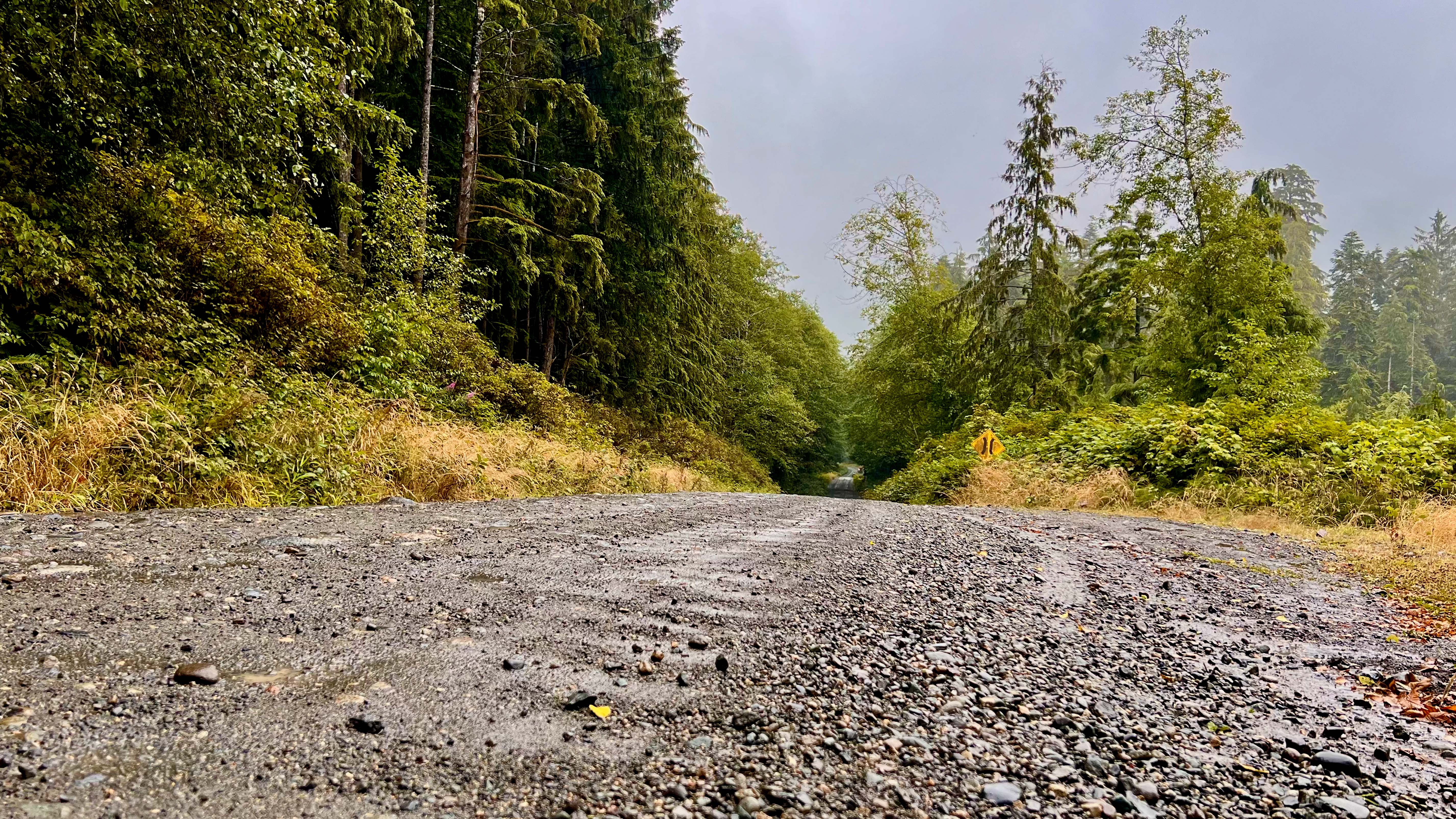 Logging Road Cape Scott Washboard