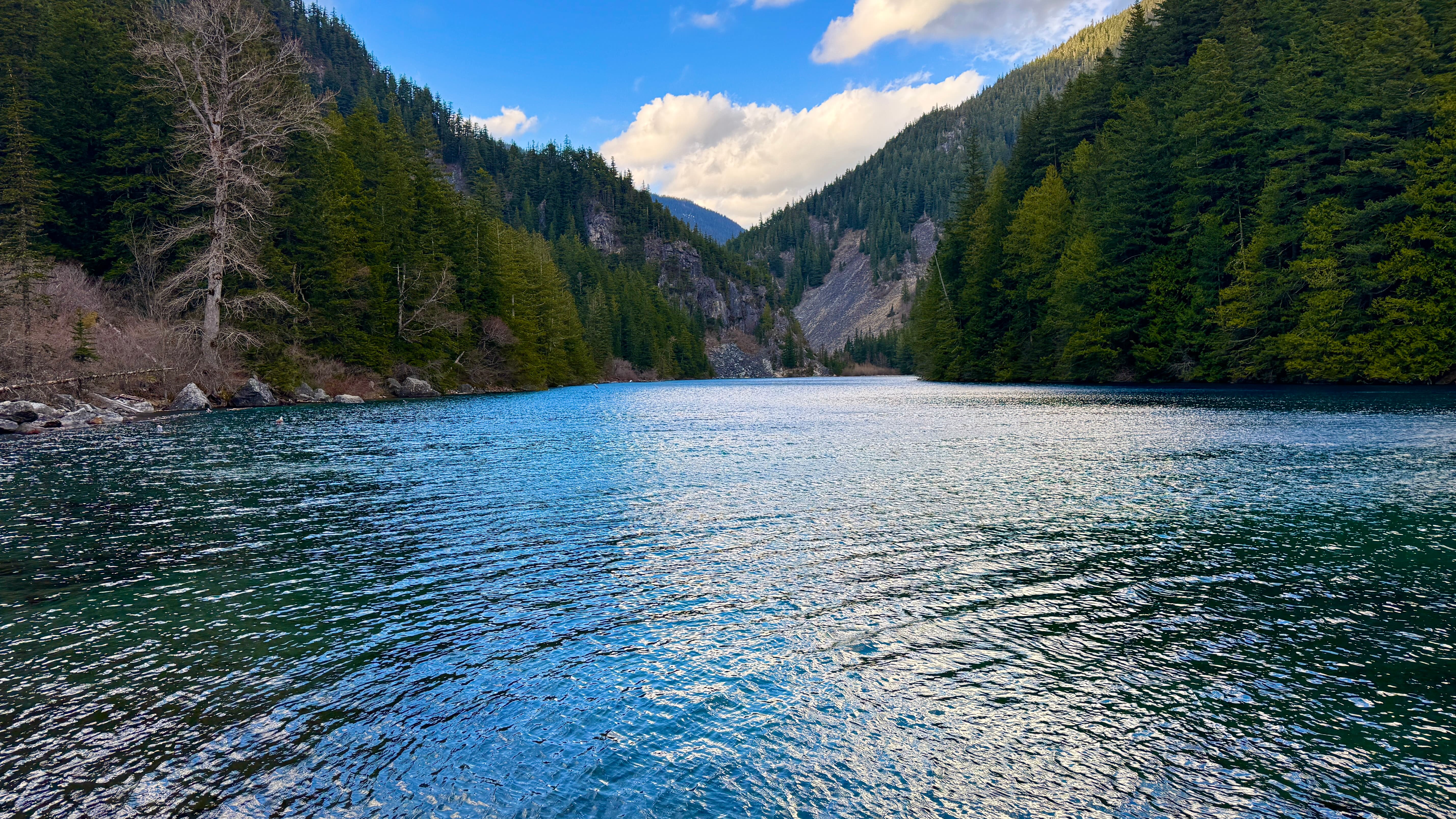Turquoise Lindeman Lake, BC: glacial alpine lake with emerald-teal waters amid forested mountains