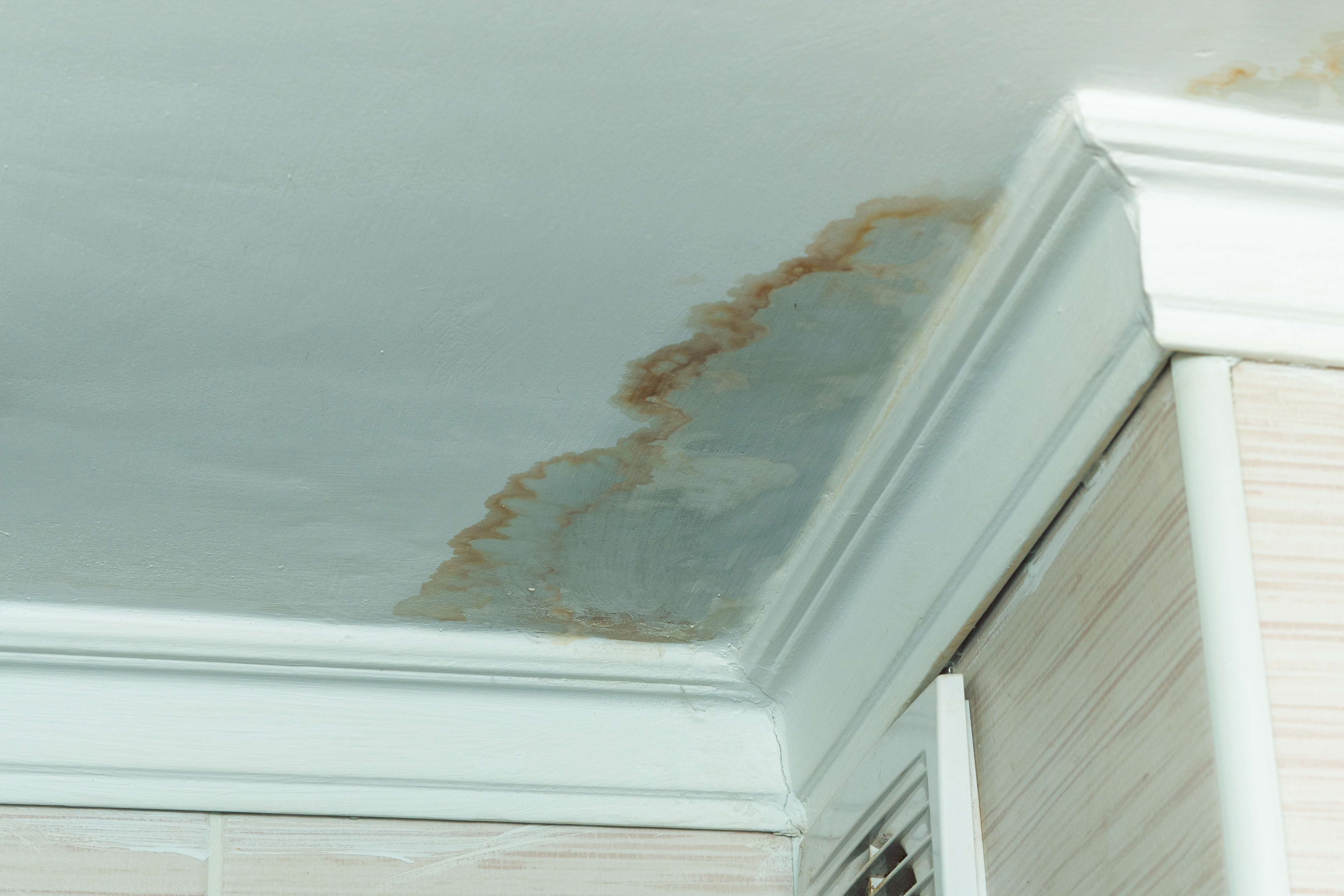 Signs of a Roof Leak Every Northern Utah Homeowner Should Know