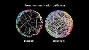 Video thumbnail for Justin Ray, PMHNP-BC discussing psilocybin's potential in modern psychiatry