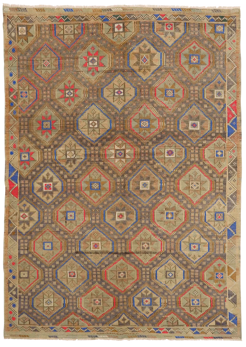 Anatolian Denizli Cicim