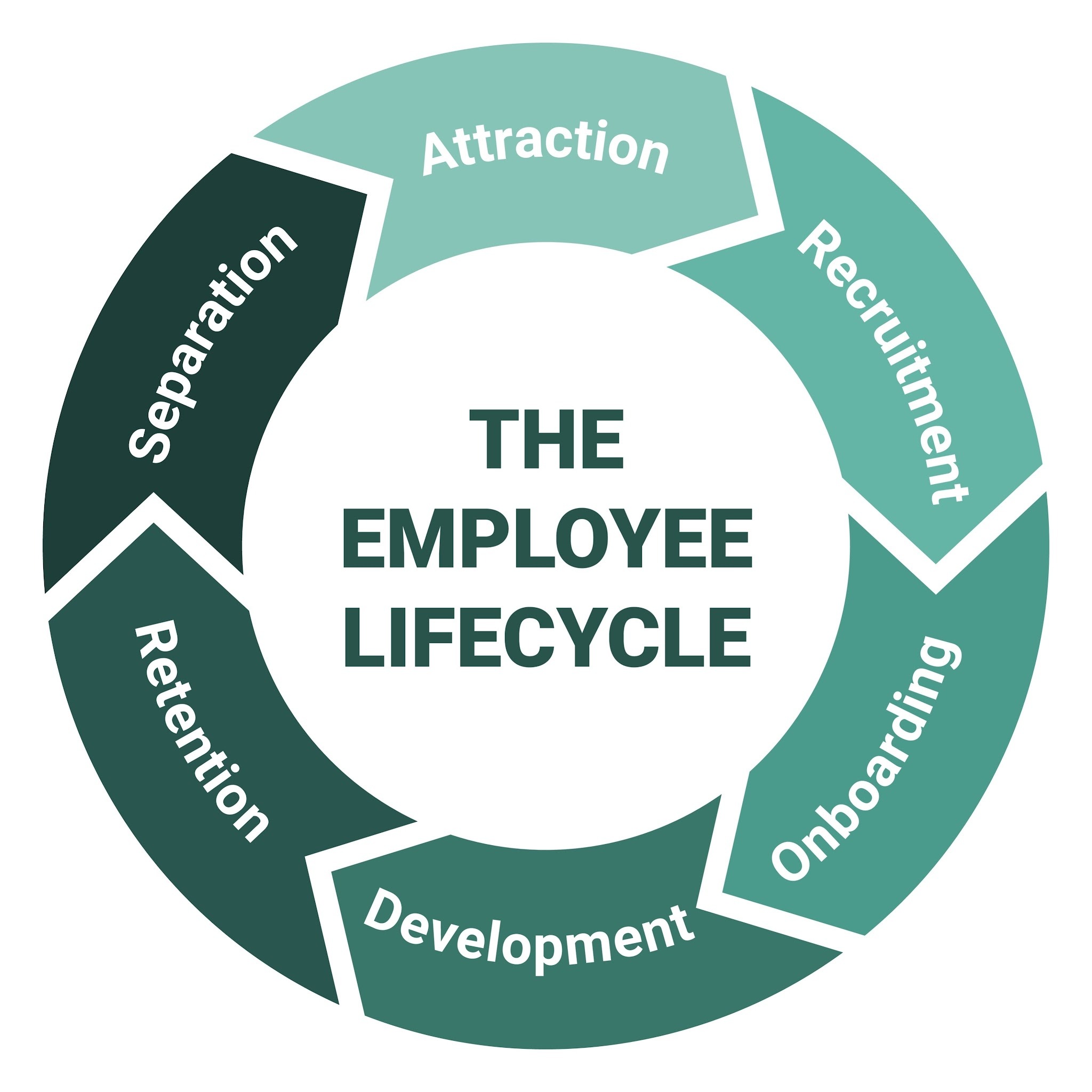 Image of employee lifecycle stages from onboarding to retention