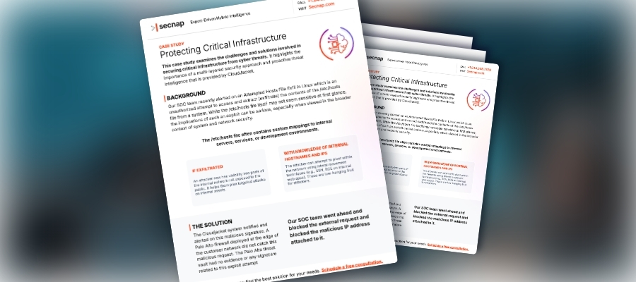 Protecting Critical Infrastructure