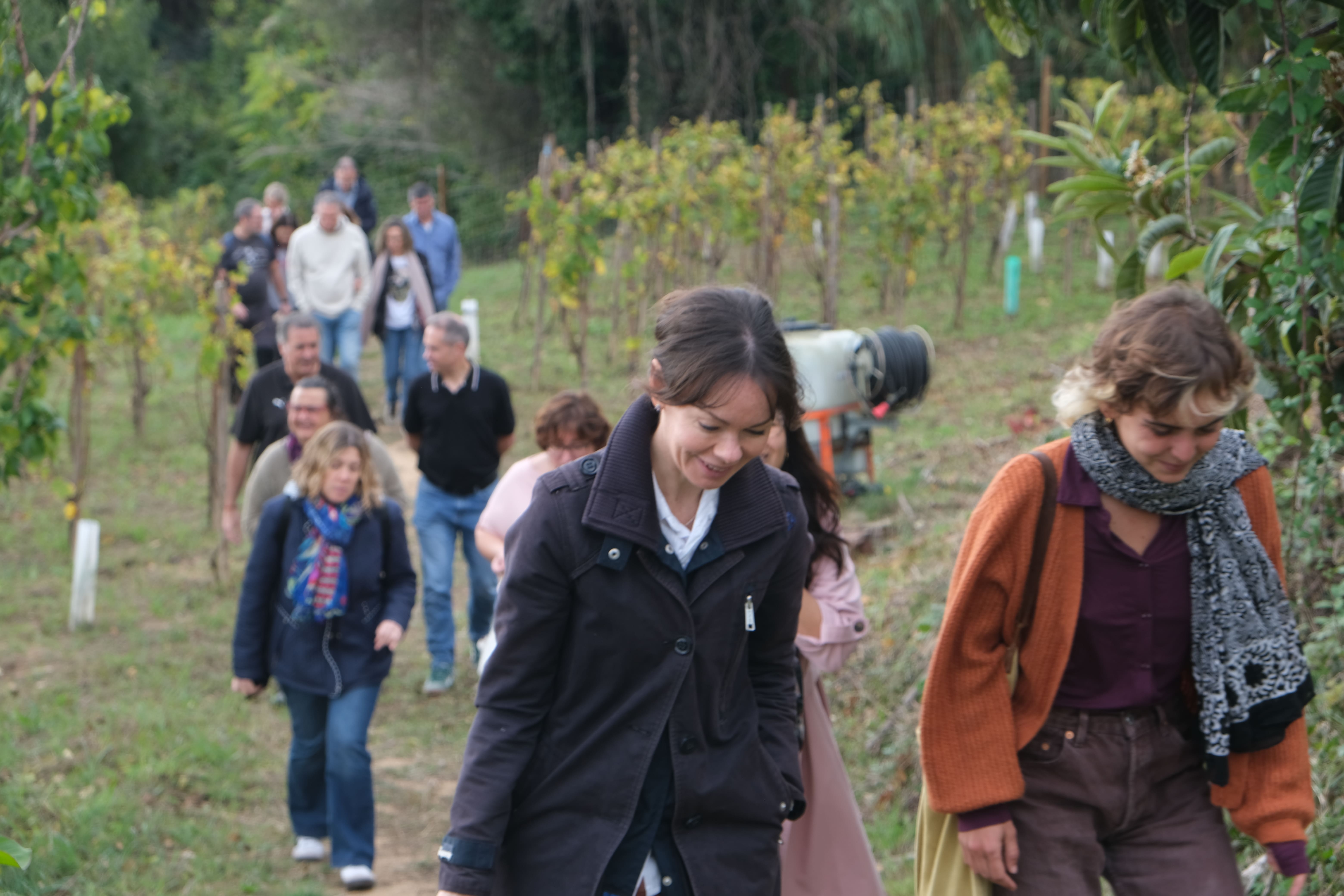 Descobrim el monestir de Sant Jeroni de la Murtra i els seus vins.