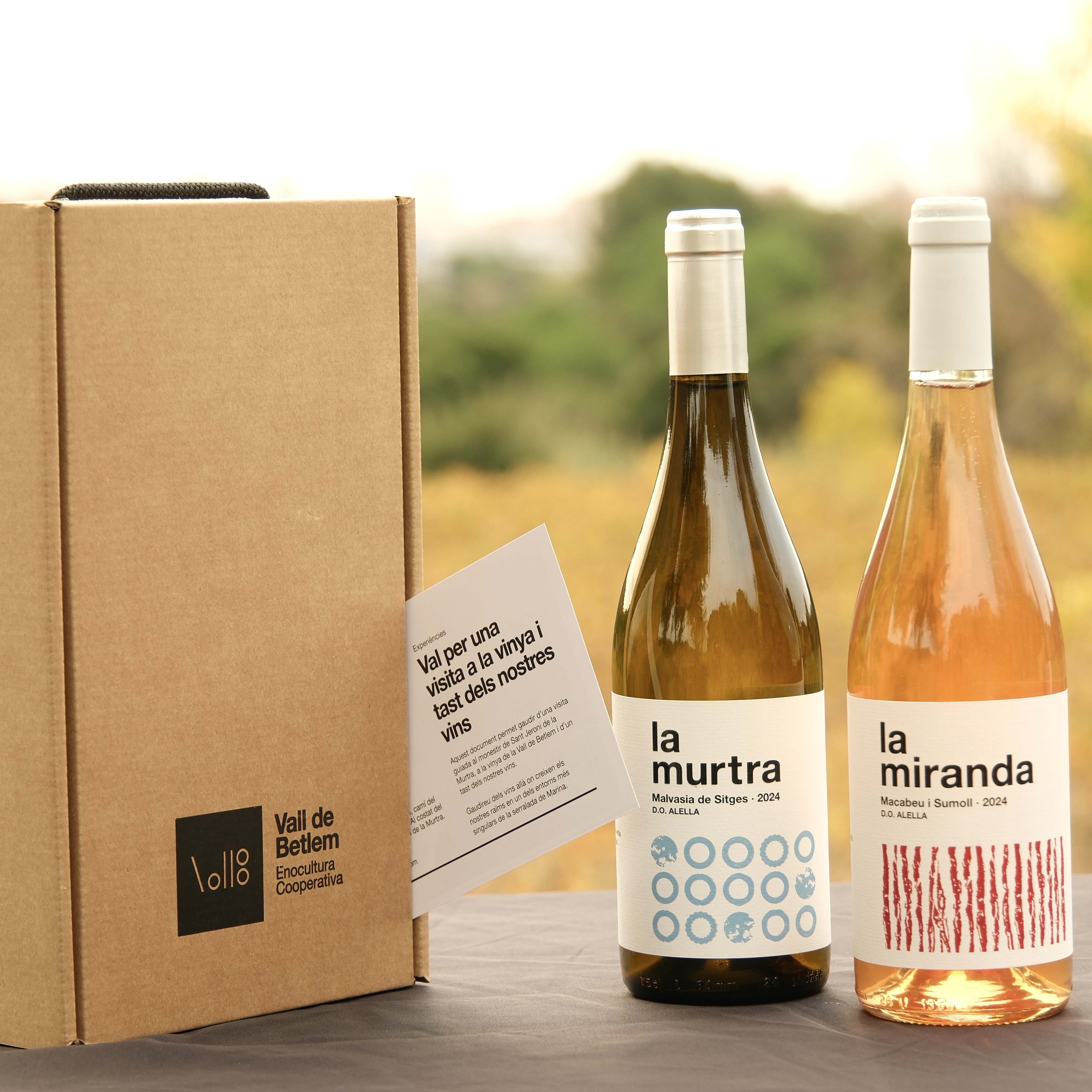 Nova oferta de lots per regalar aquestes festes.