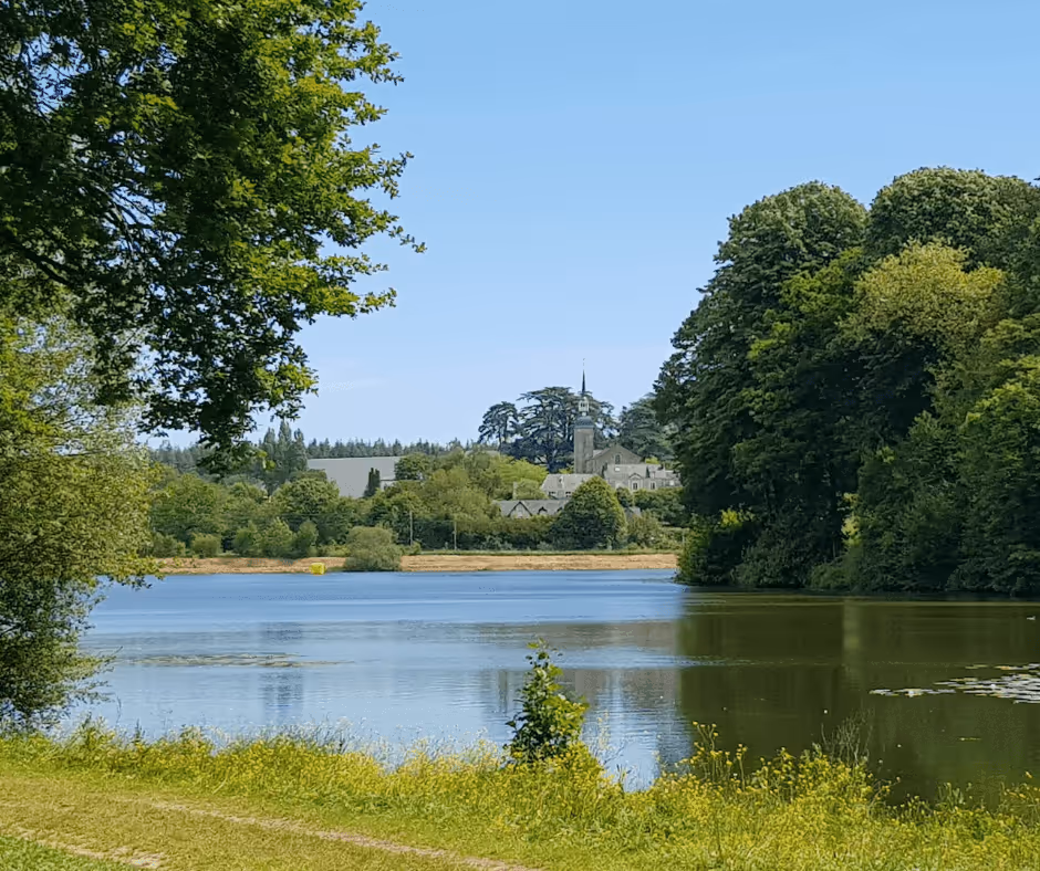 étang de port brillet en mayenne
