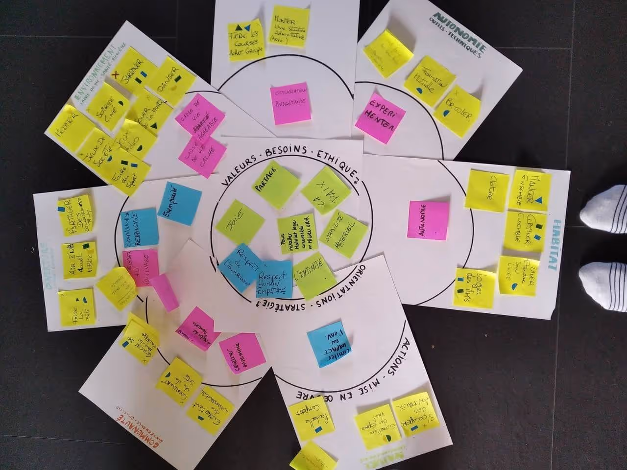 Exemple d'un mandala holistique d’un collectif accompagné par l’association Hameaux Légers