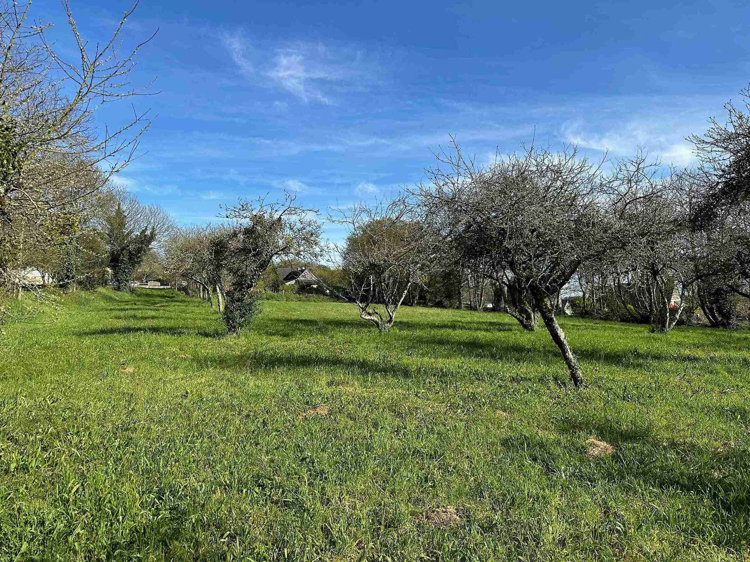 Terrain du hameau léger de Brandivy