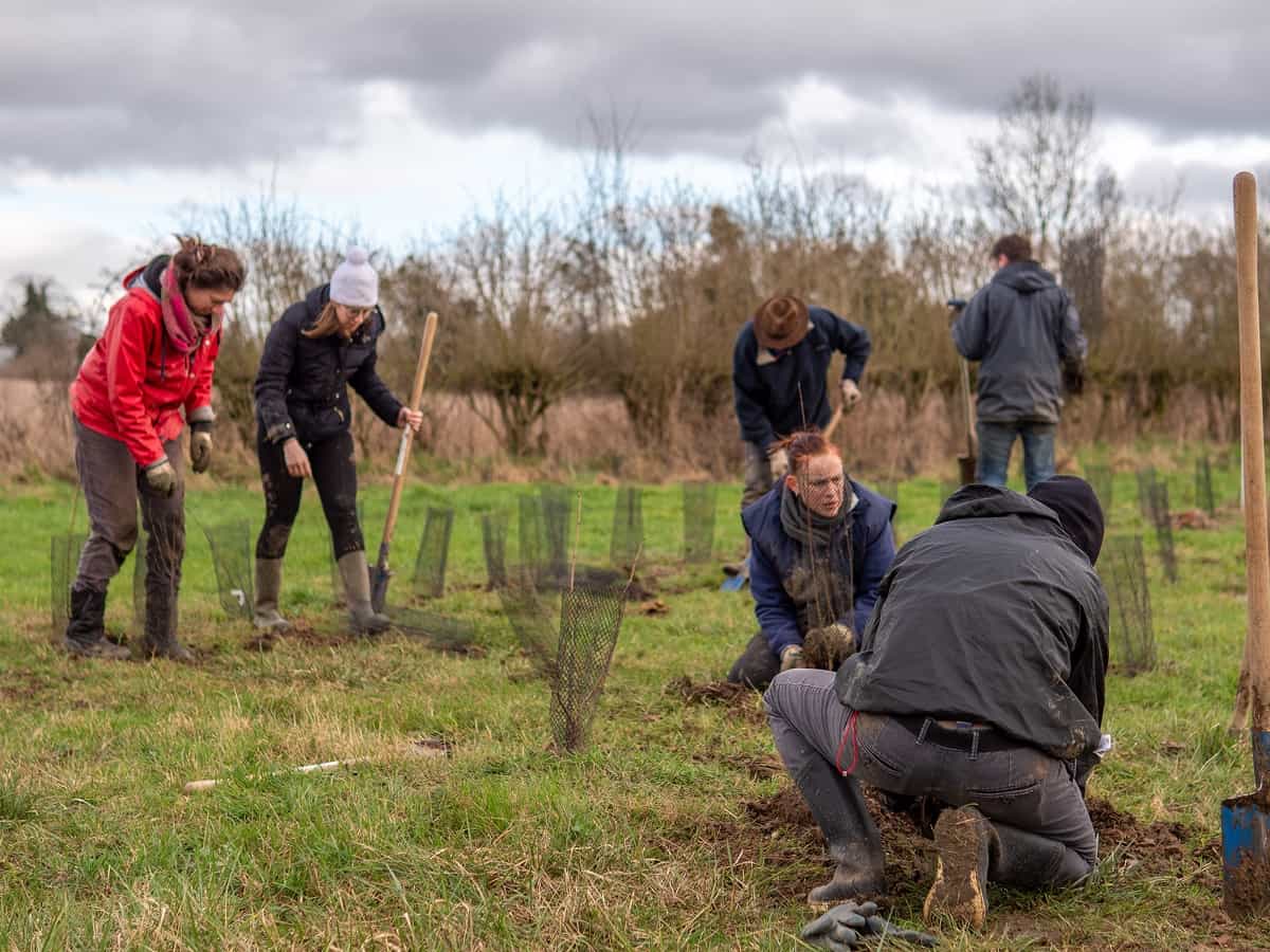 Chantier participatif avec un groupe plantant des haies bocagères
