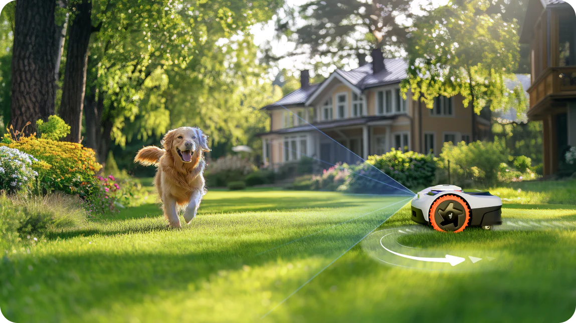 Golden retriever running happily on a green lawn near a robotic lawn mower in a sunlit garden with a house in the background.