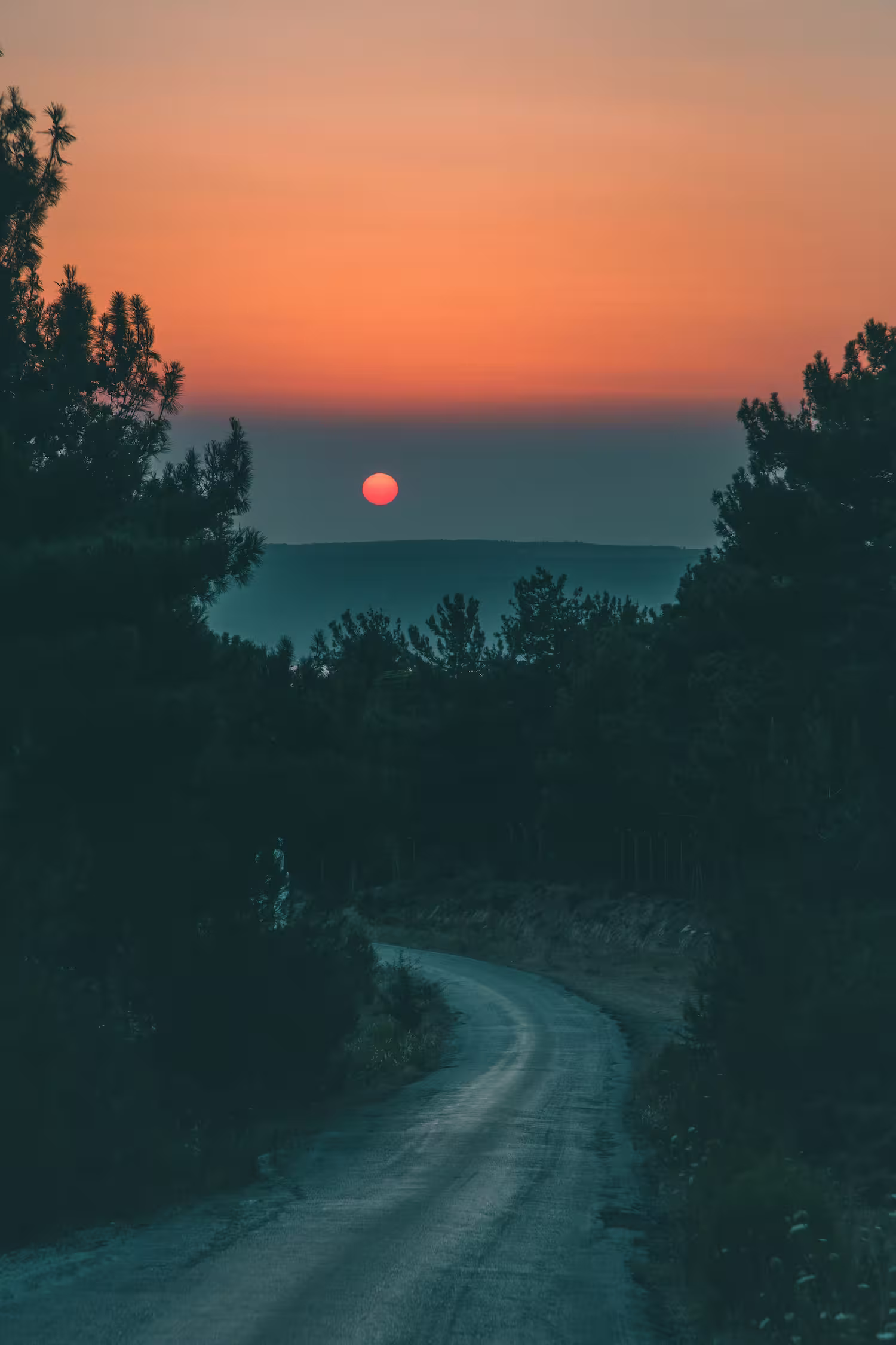 ¿Cómo funciona la opción One Way en Good Motors?