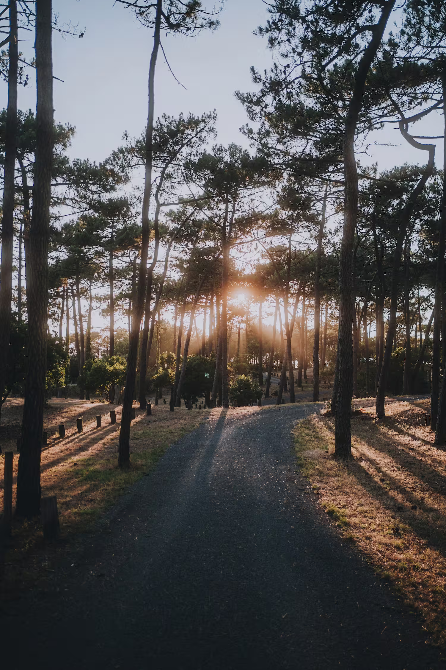 Las mejores excursiones en moto por Burdeos