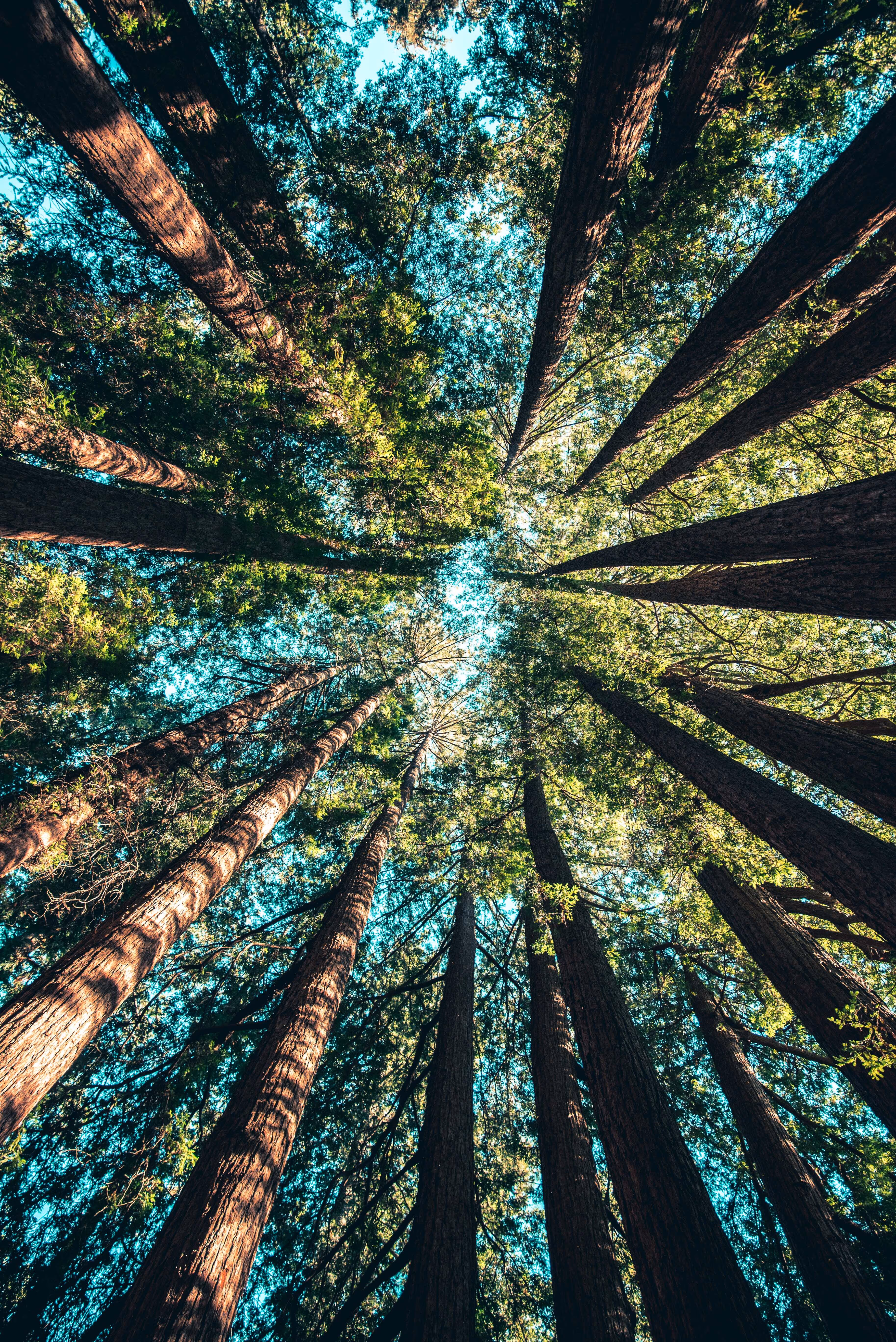 PBS is a sustainable and carbon neutral utilities company