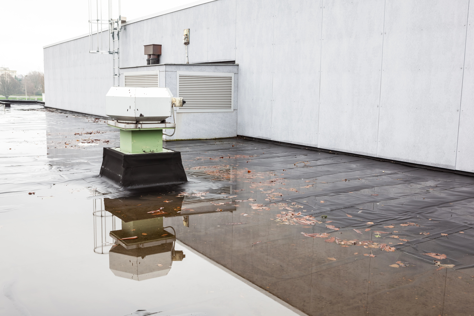 Waterproofing vs. Re-Roofing: How to Choose the Right Solution for Your Building