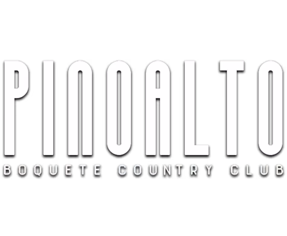 pinoalto en web3d