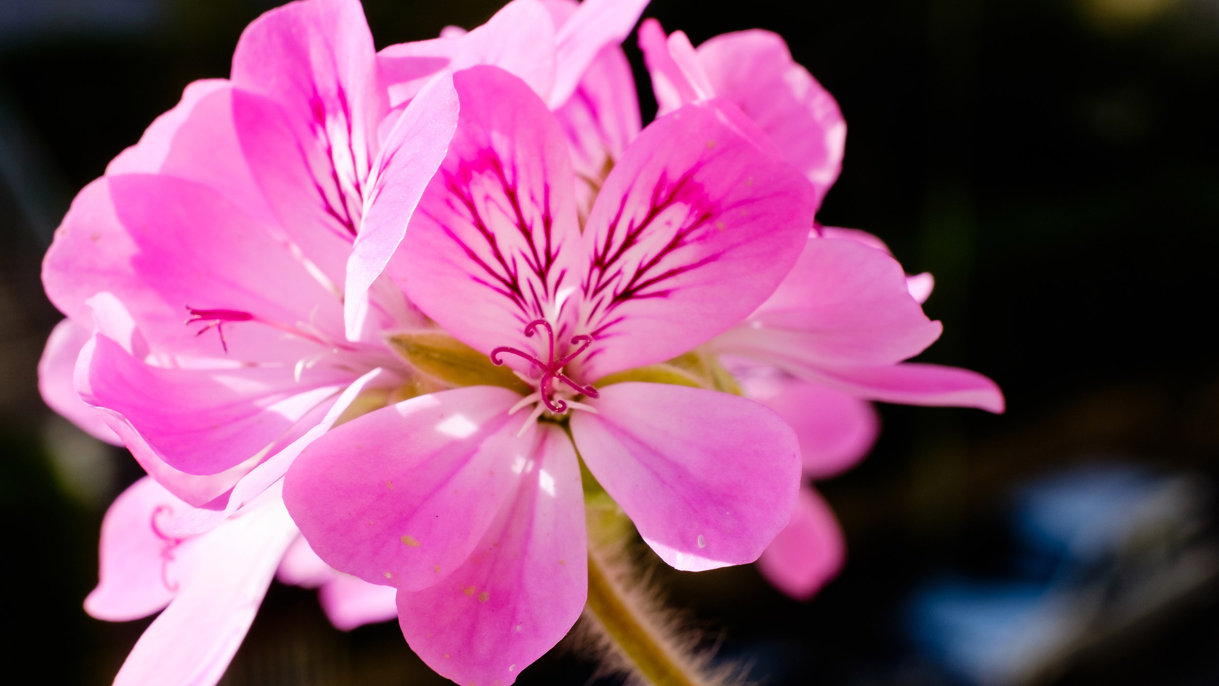 undefined 10