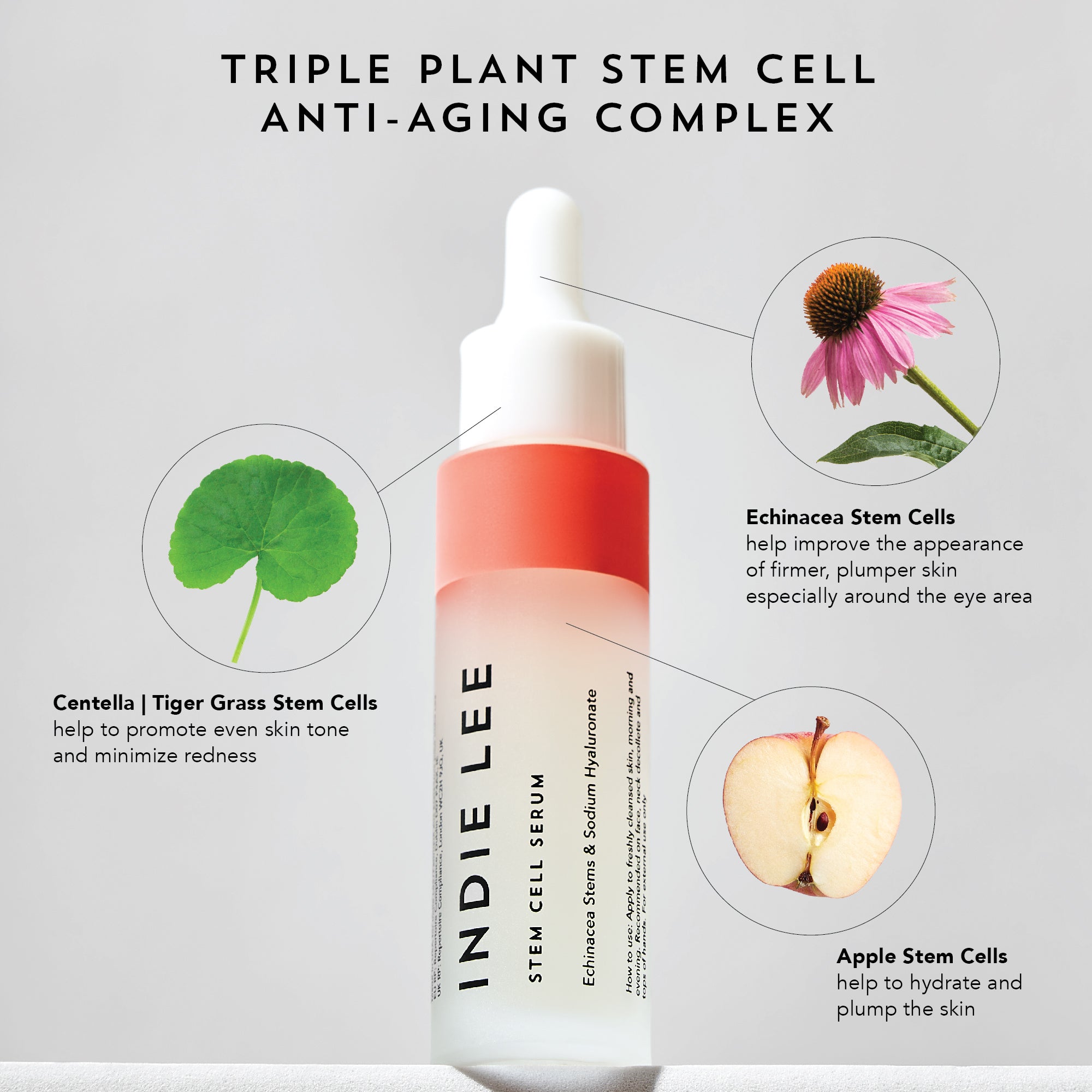 Stem Cell Serum 4