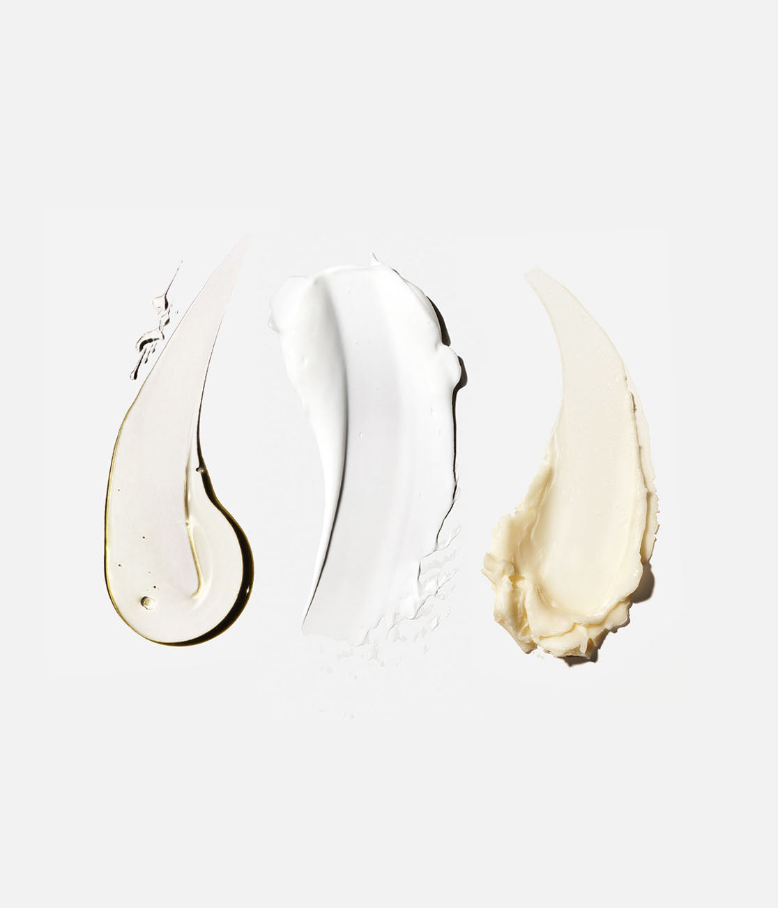The Body Essentials 3