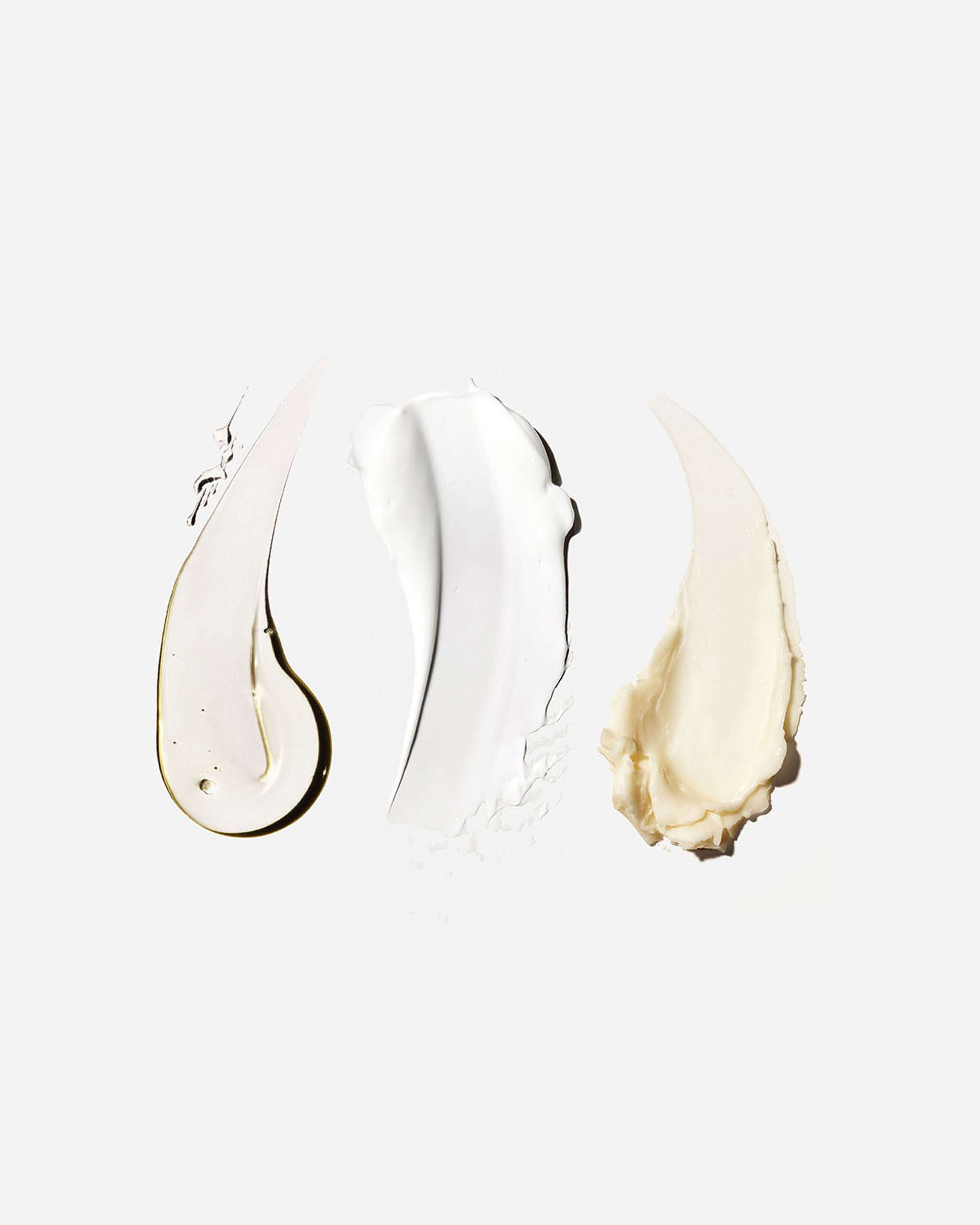 The Body Essentials 1