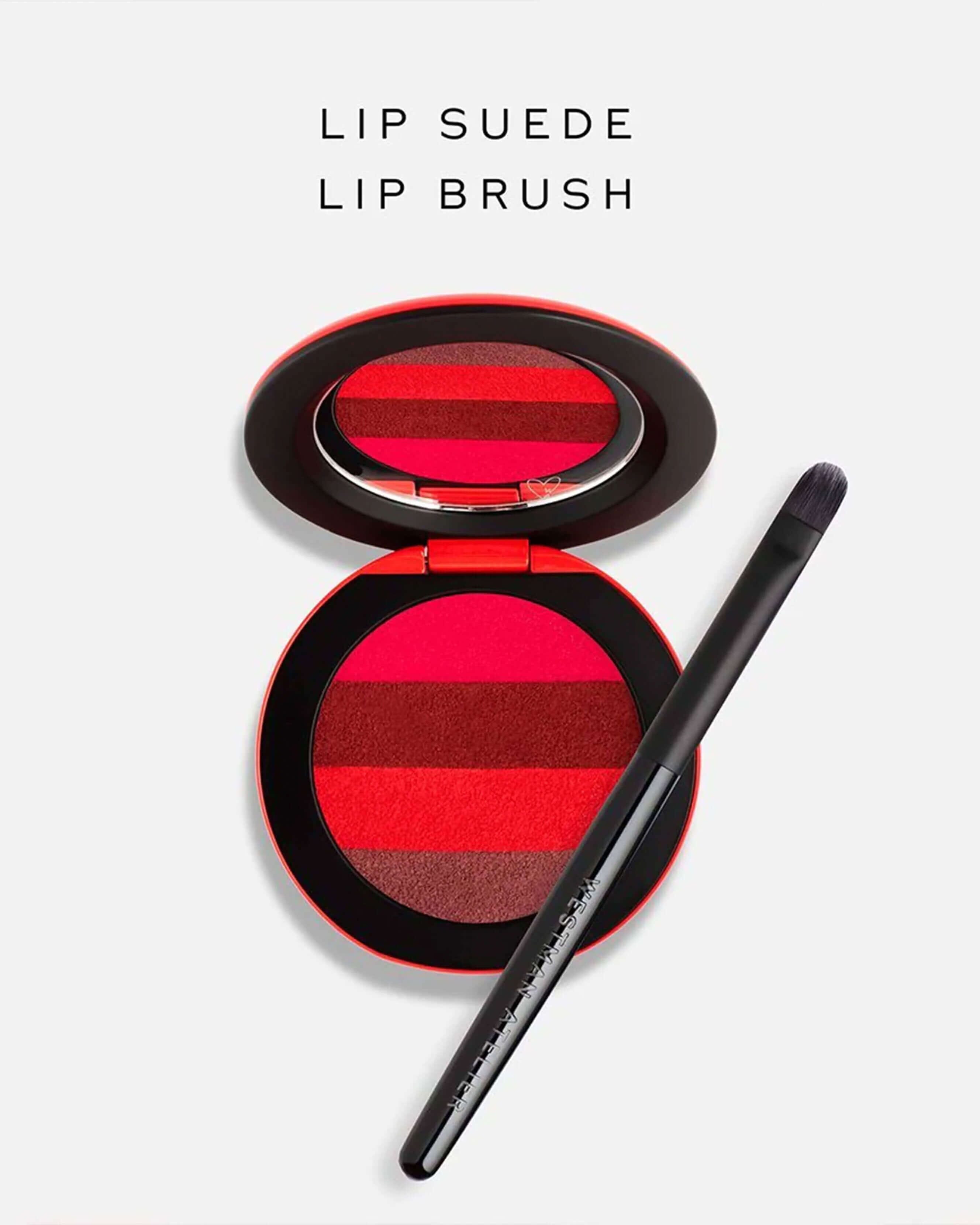 Lip Brush 1