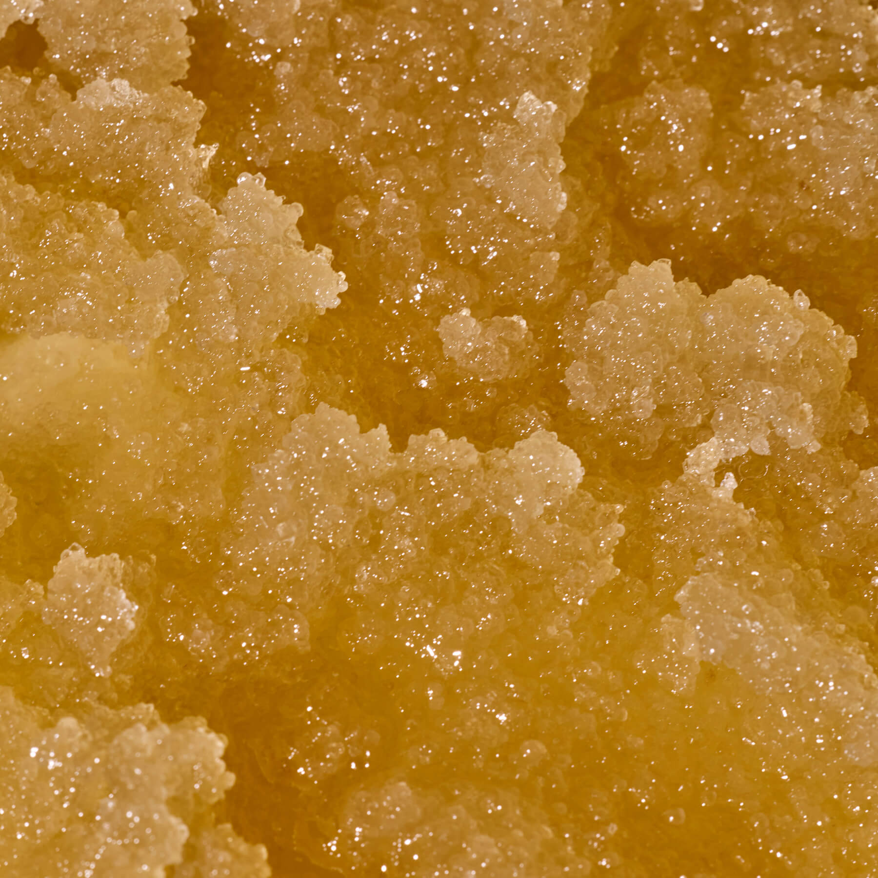 Sugar Body Scrub 4