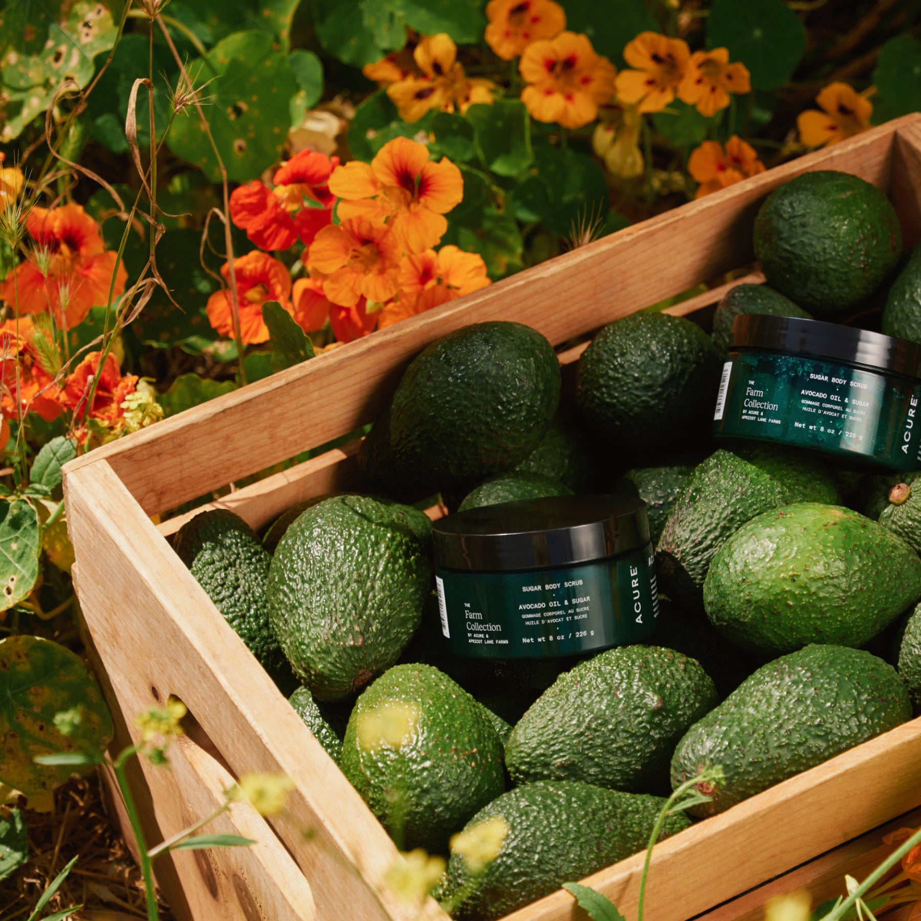 Everything Shower Set 8