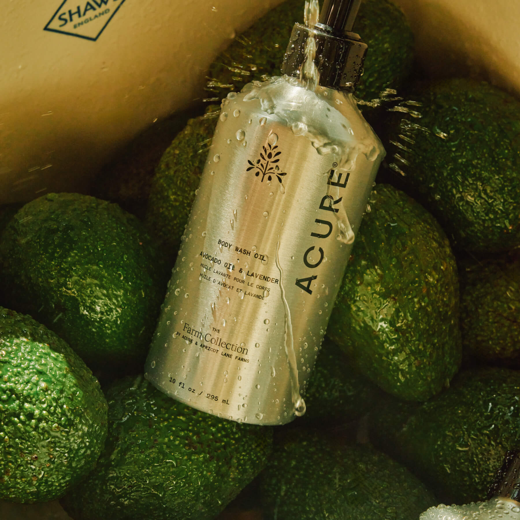 Moisture Rich Body Set 12