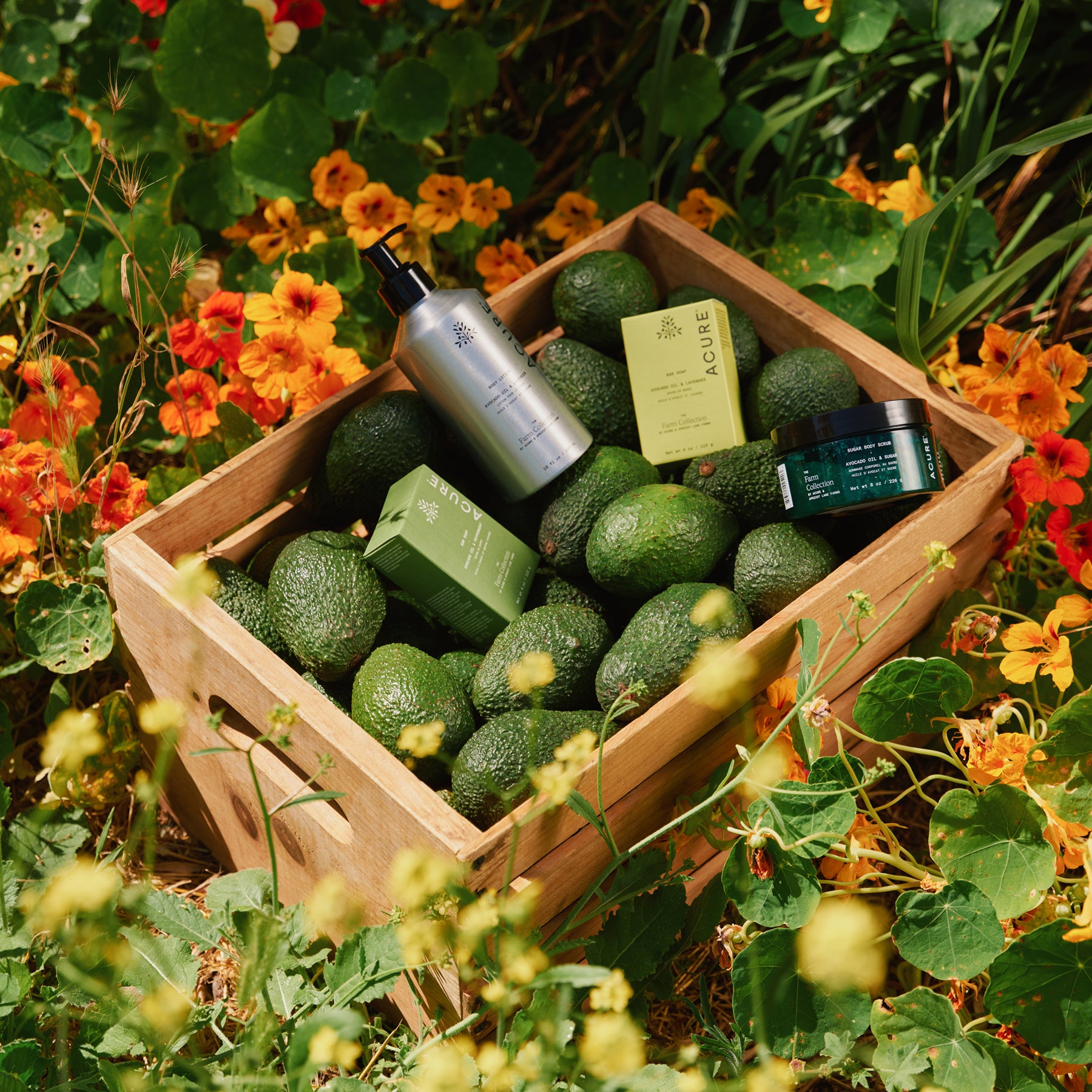 All In: The Farm Collection 6