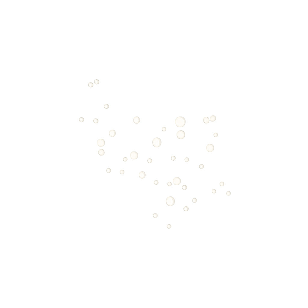 Gardenia + Tea Antioxidant Body Serum 4