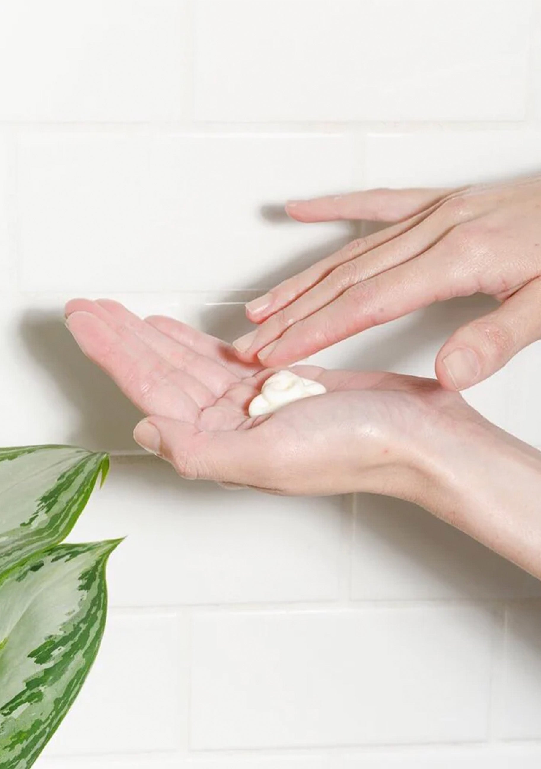 Discovery Starter Pack 2