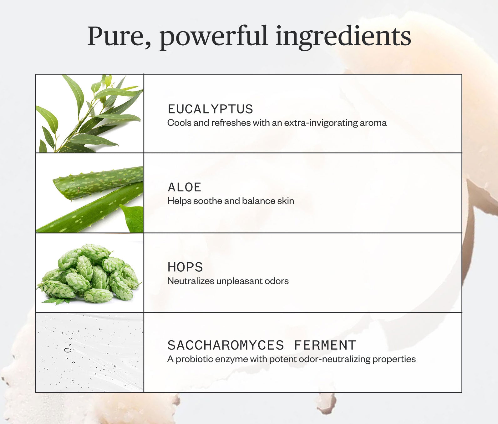 Hoppin’ Fresh Deodorant 4