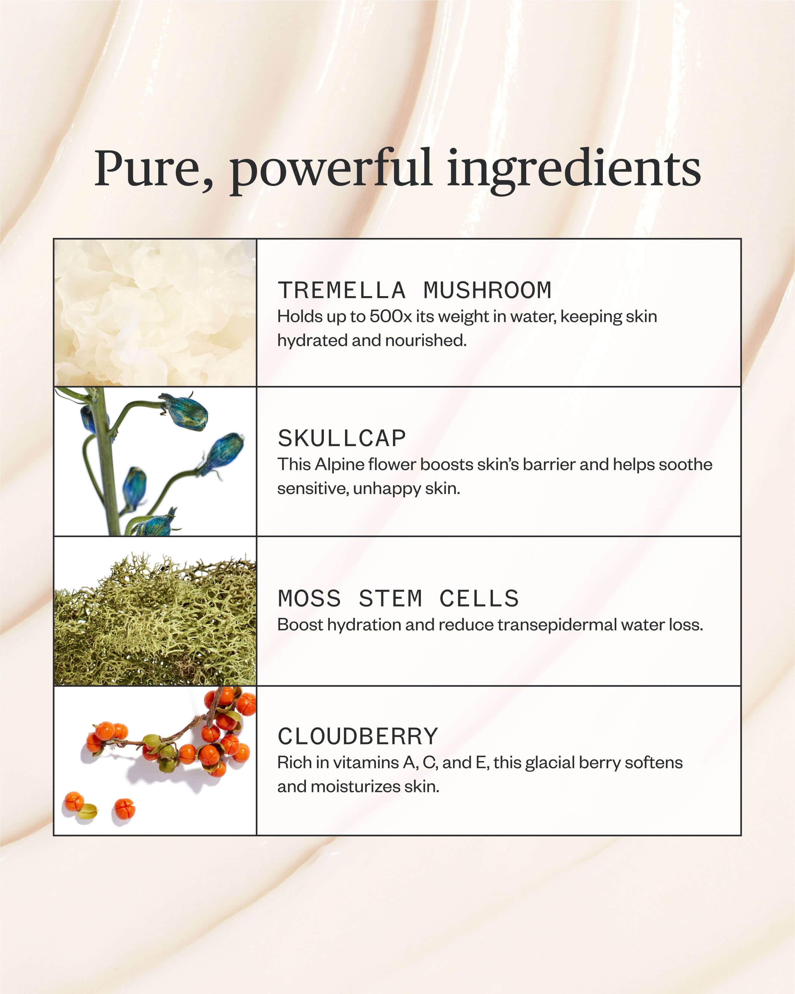 Alpine Rich Cream | Dry Skin's Dream Come True
– Ursa Major Skincare 7