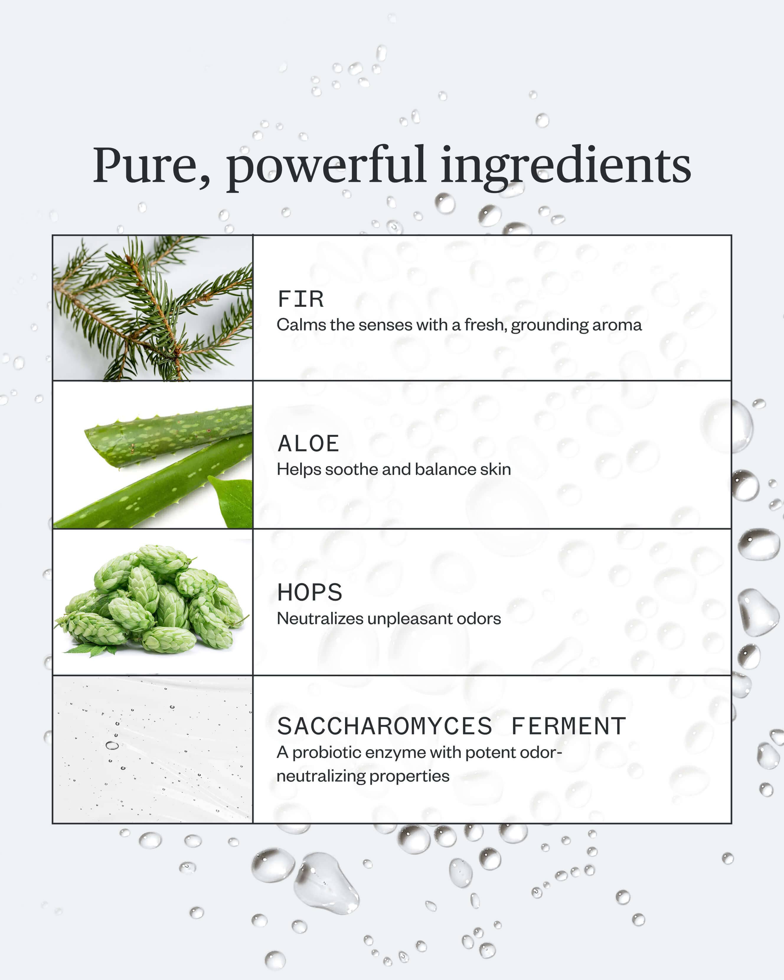 Forest Fix Spray Deodorant 6