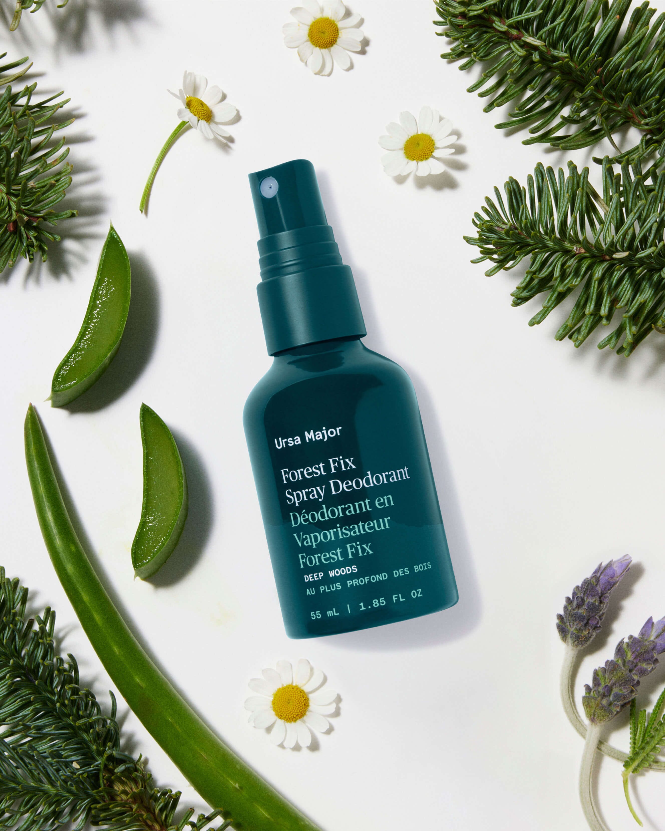 Forest Fix Spray Deodorant 1