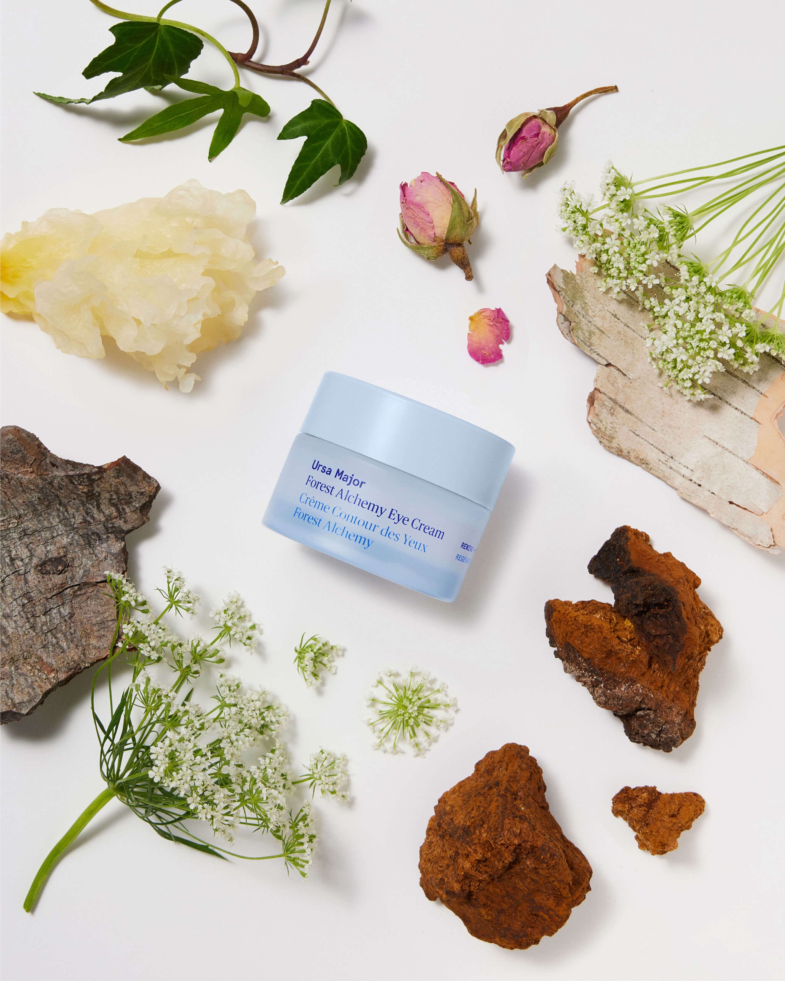 Forest Alchemy Eye Cream 3