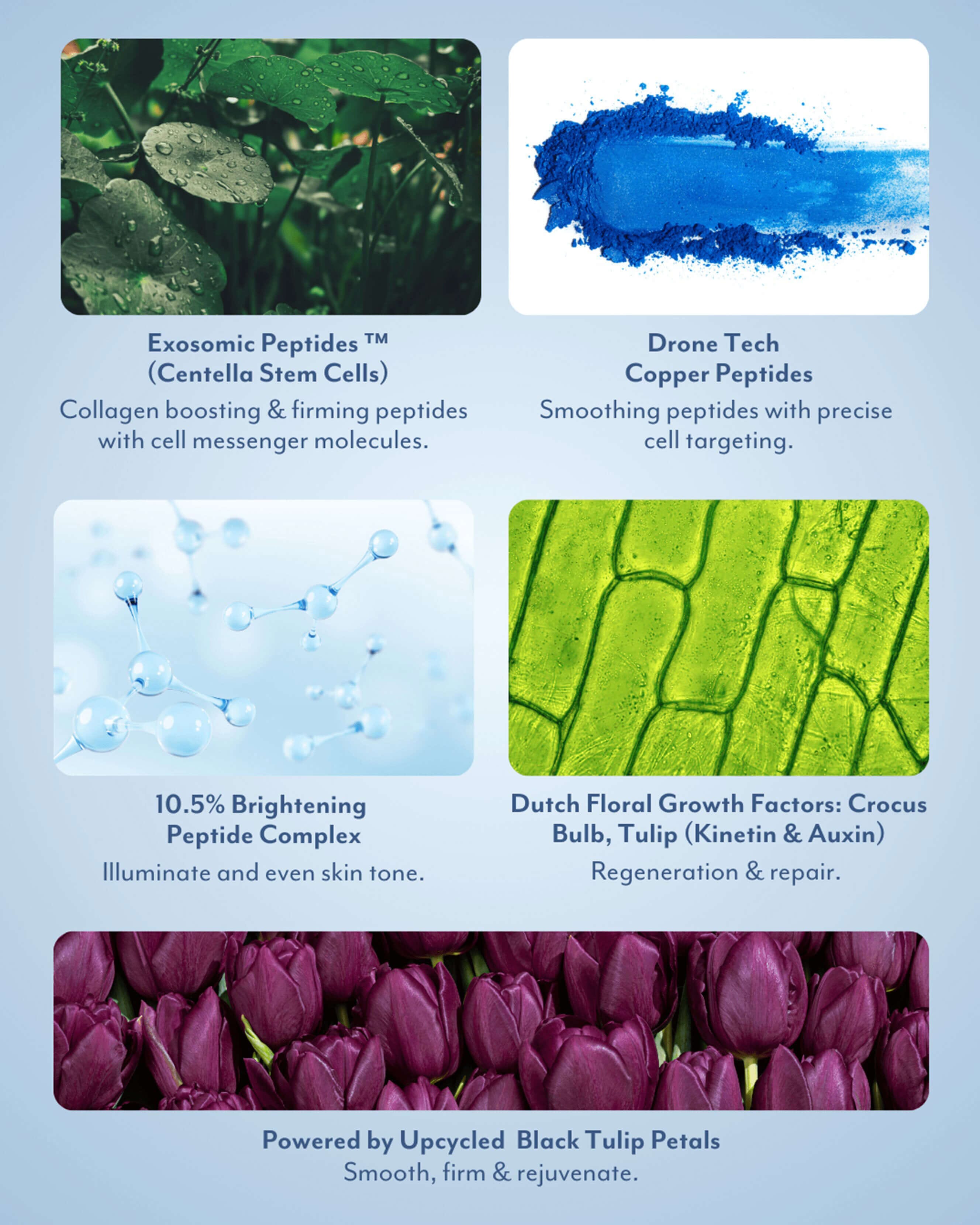 Black Tulip Regenerative Brightening Serum 4