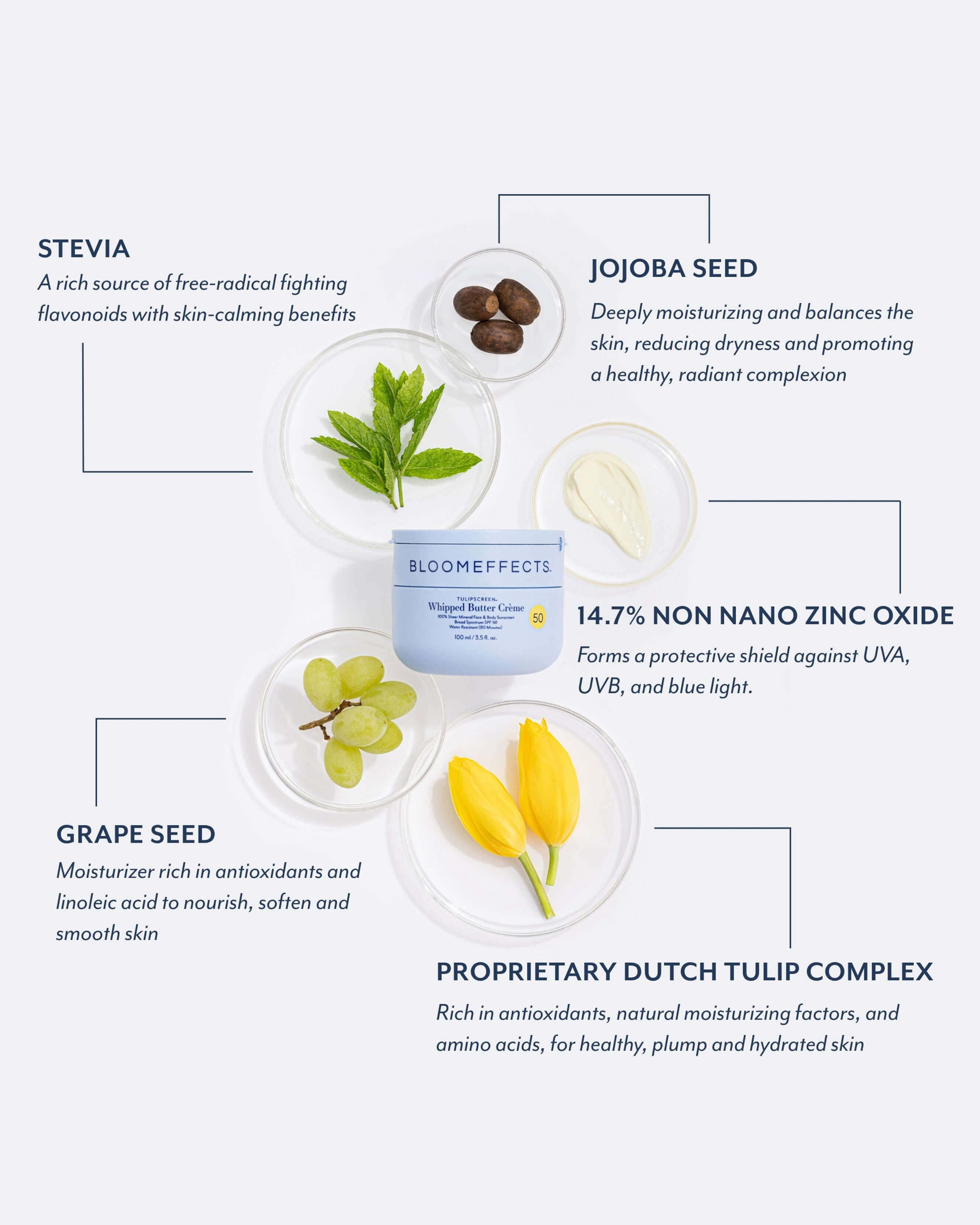 Tulipscreen™ Whipped Butter Crème 7