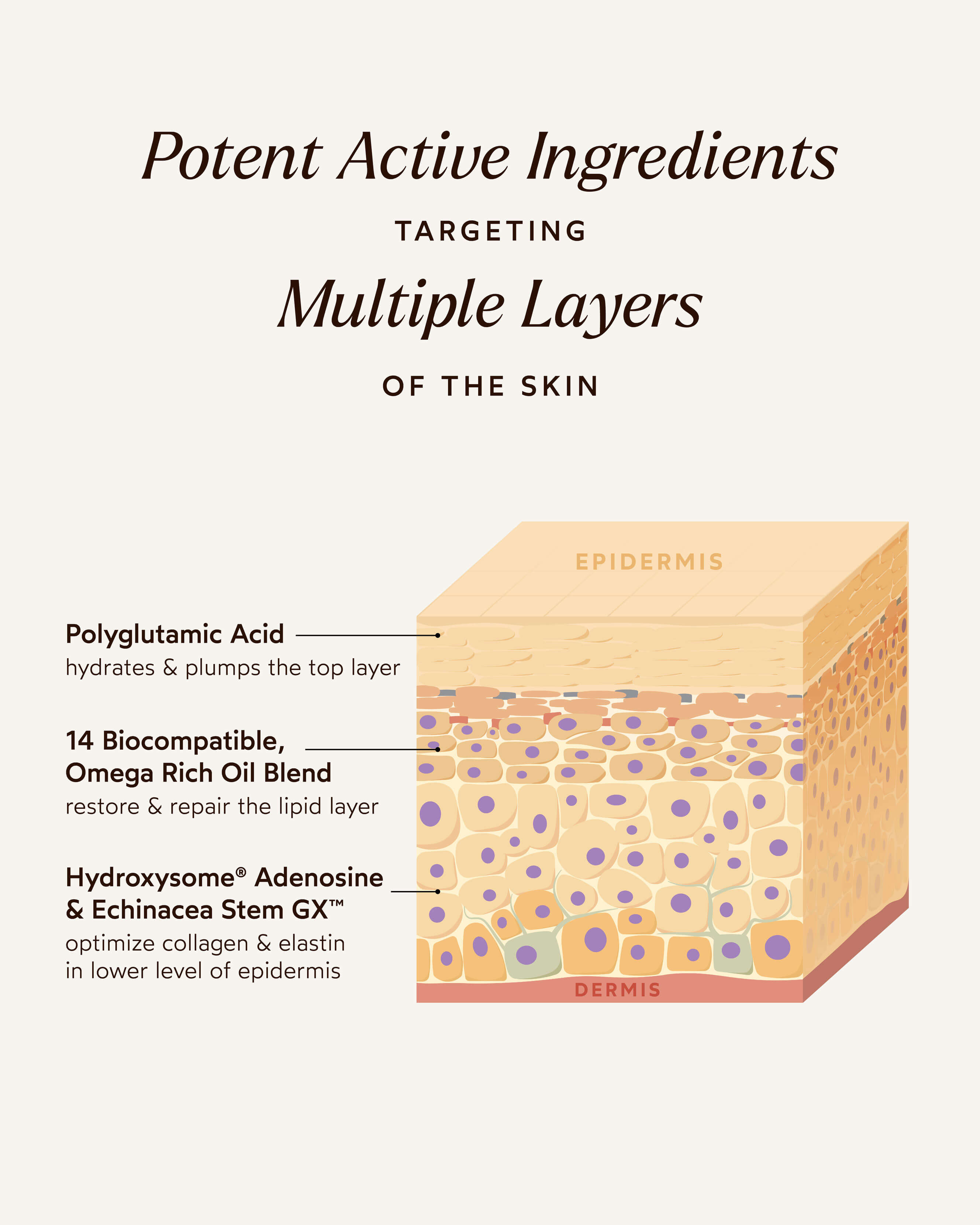 Pure Radiance Supreme Eye Cream 5