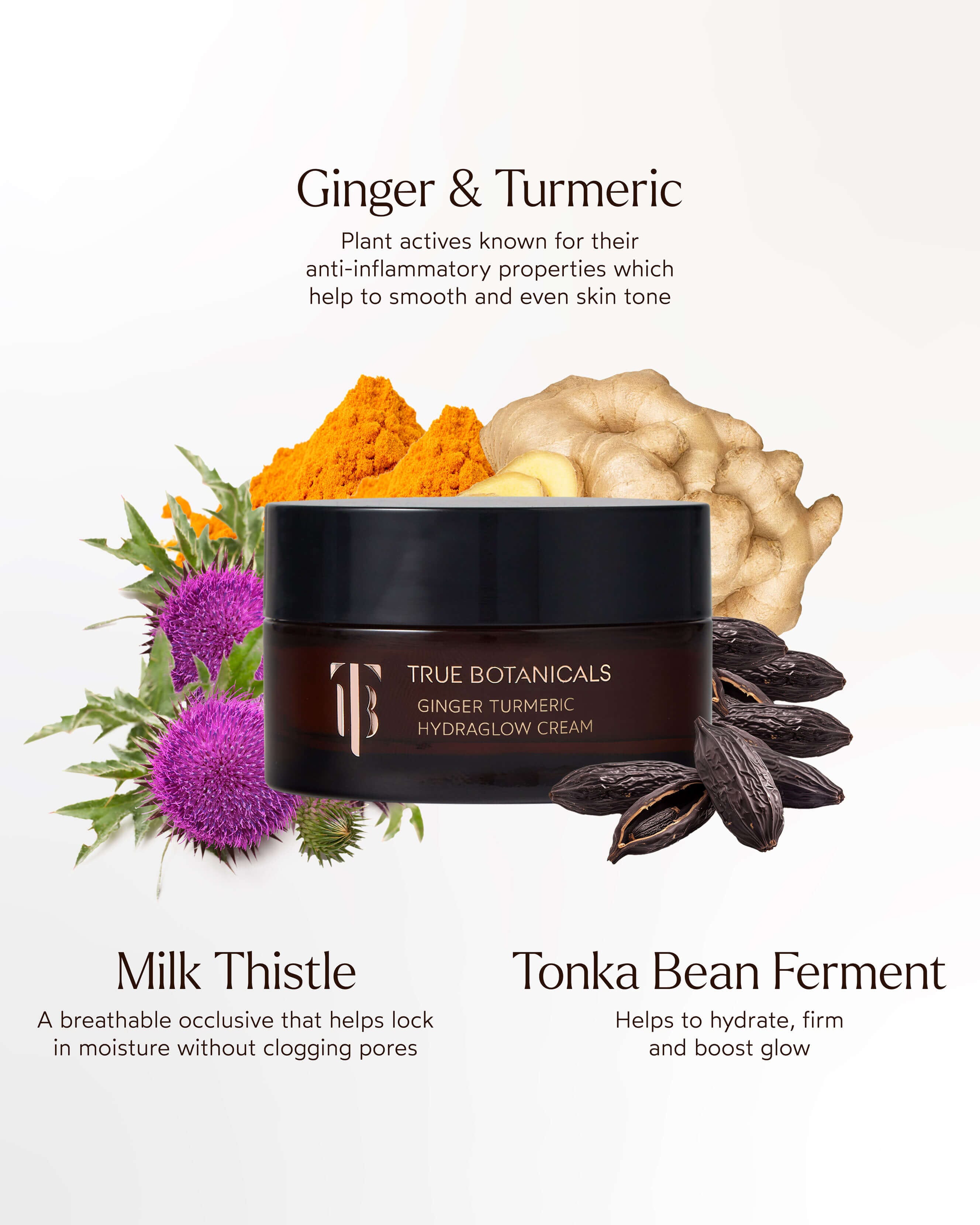 Ginger Turmeric HydraGlow Cream 6