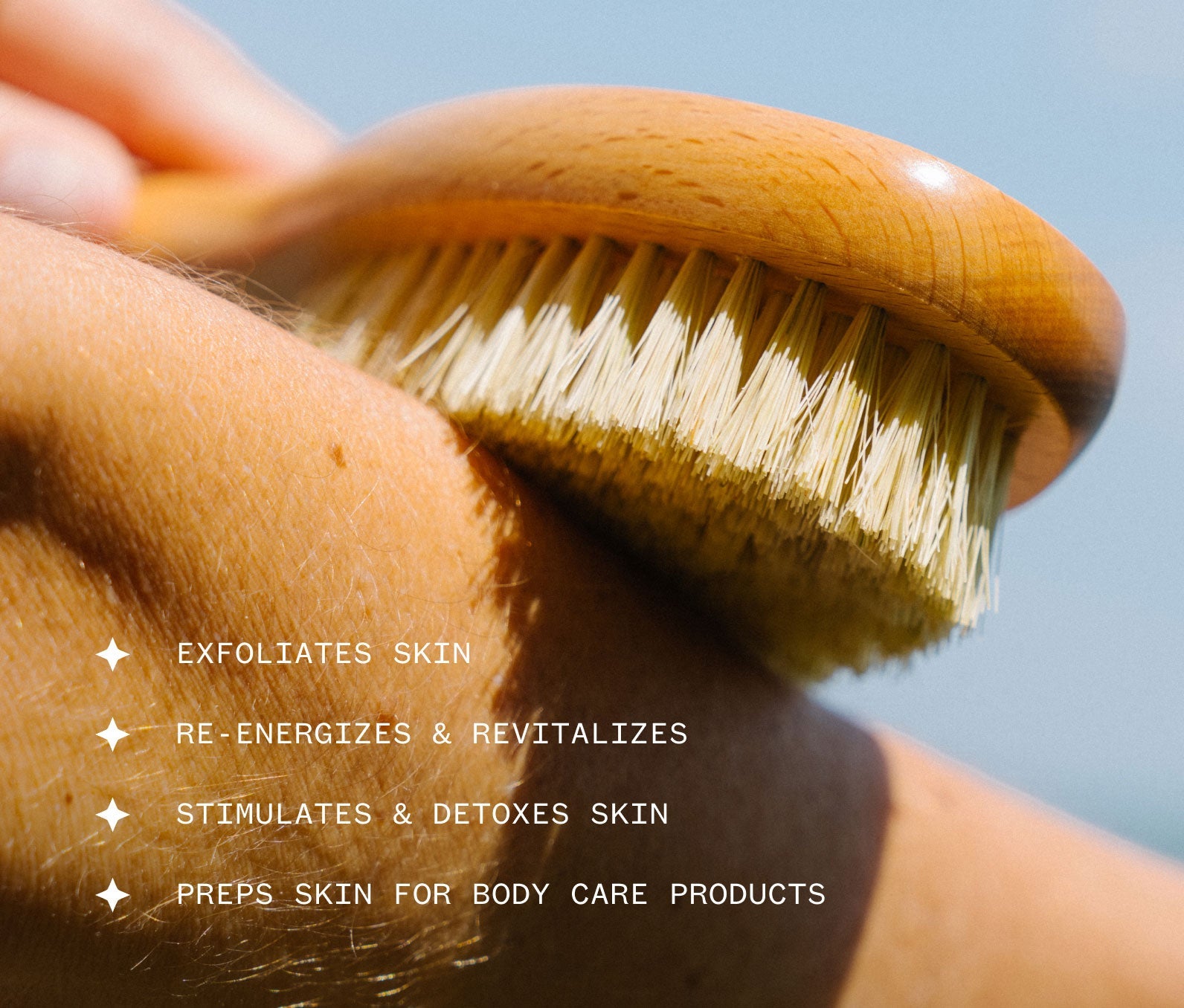 Ursa Major Dry Brush 4